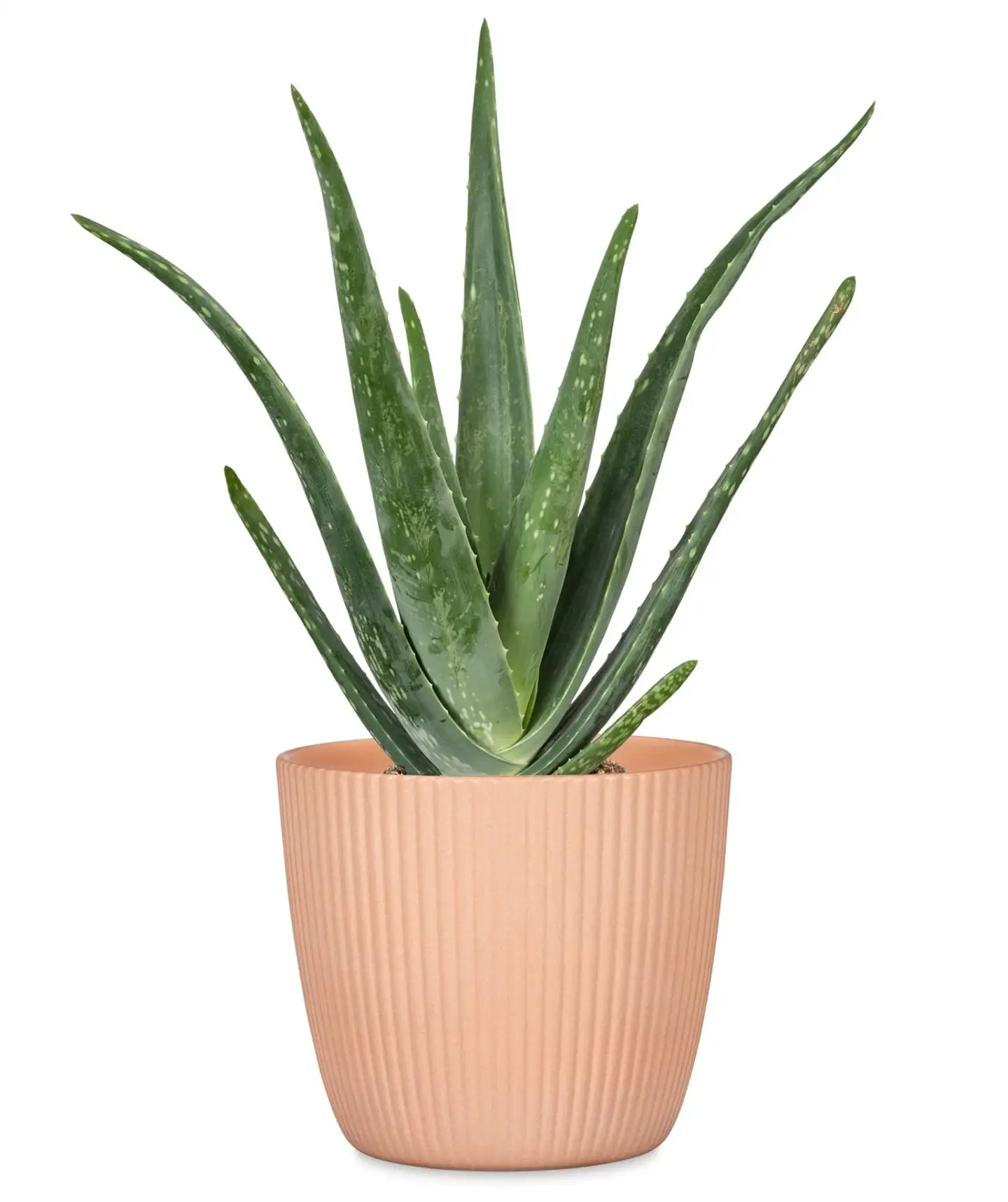 Scheurich Ruukku 842/16 persikka - 2