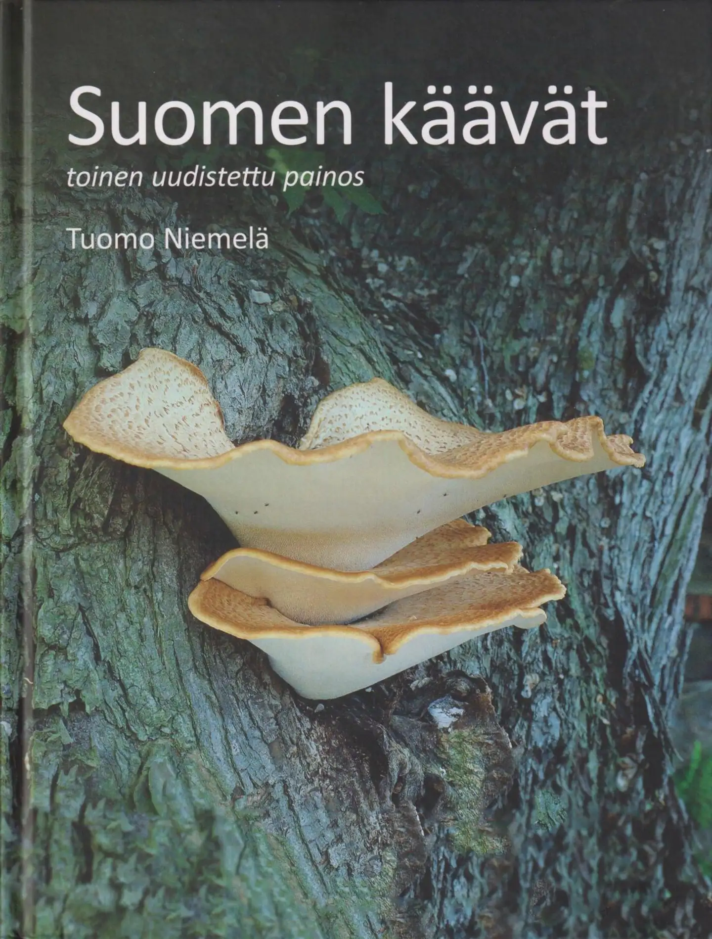 Niemelä, Suomen käävät