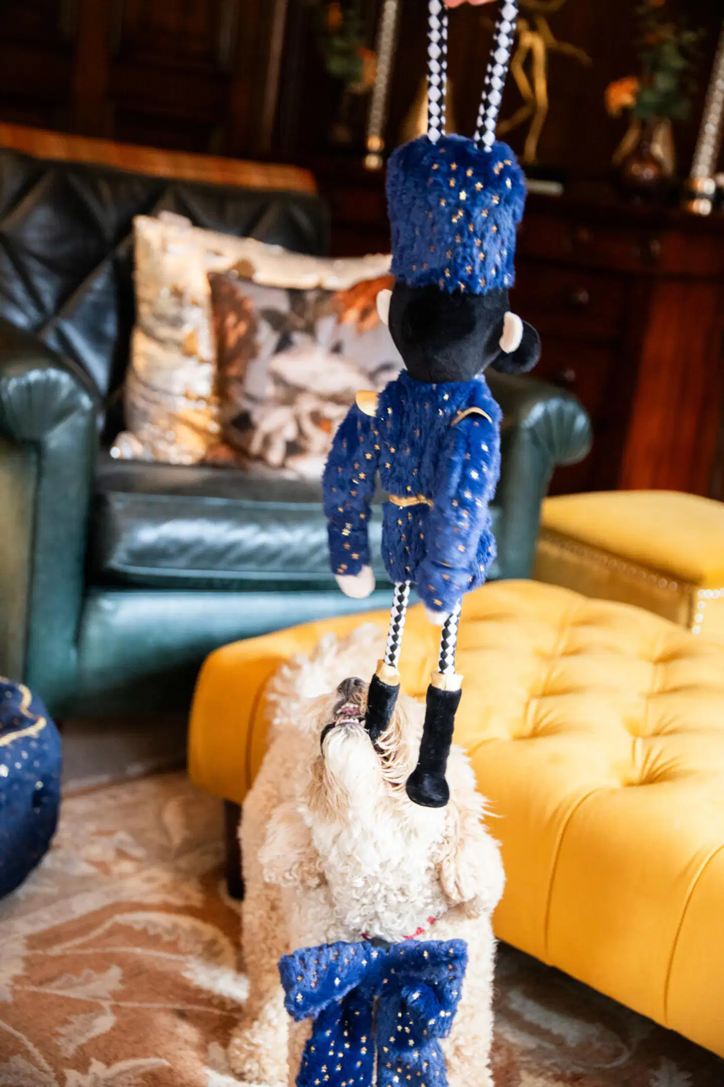 Rosewood koiranlelu Nermal Nutcracker - 9