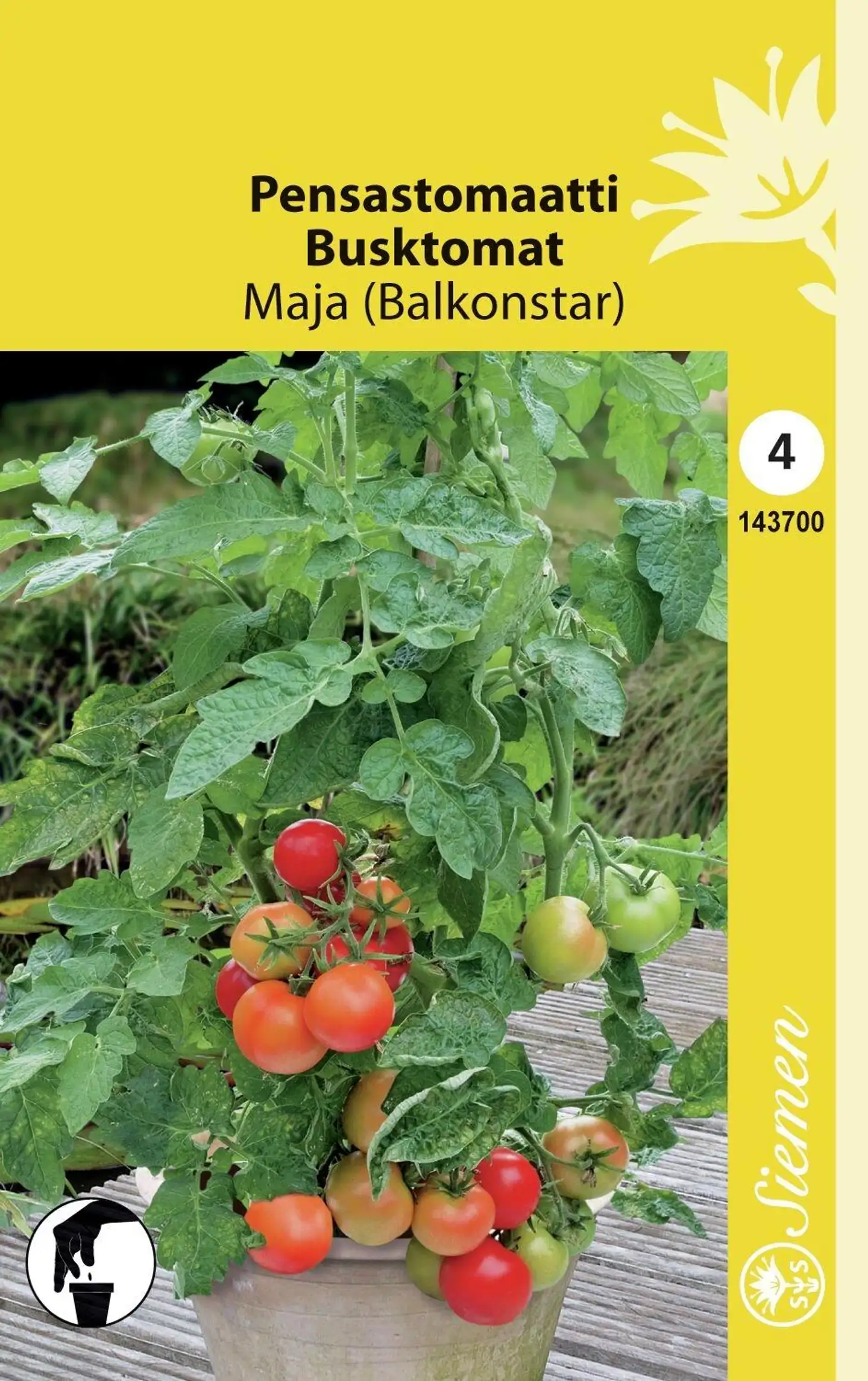 Pensastomaatti Maja (Balkonstar)