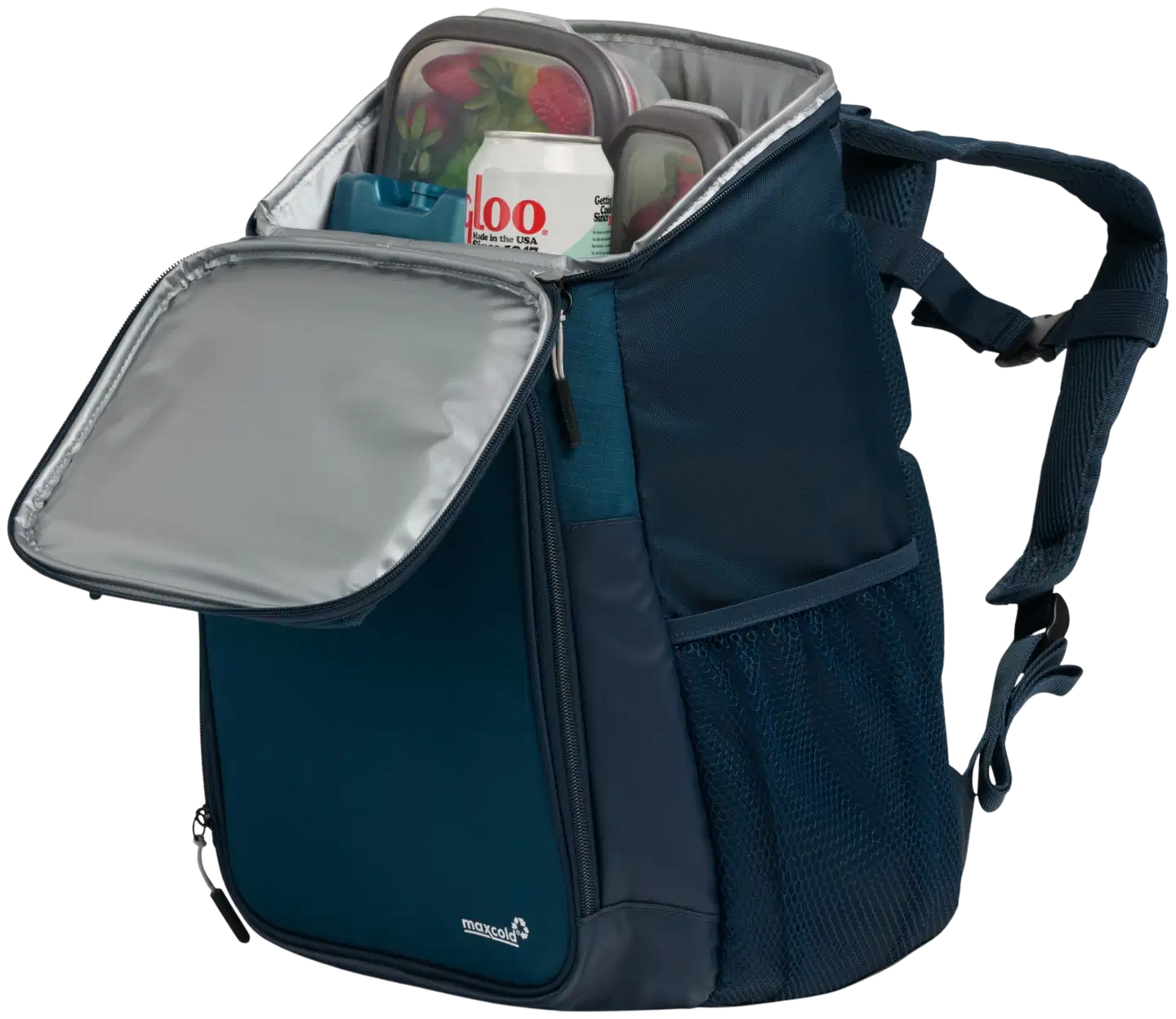 Igloo Latitude Backpack -kylmälaukkureppu sininen - 10