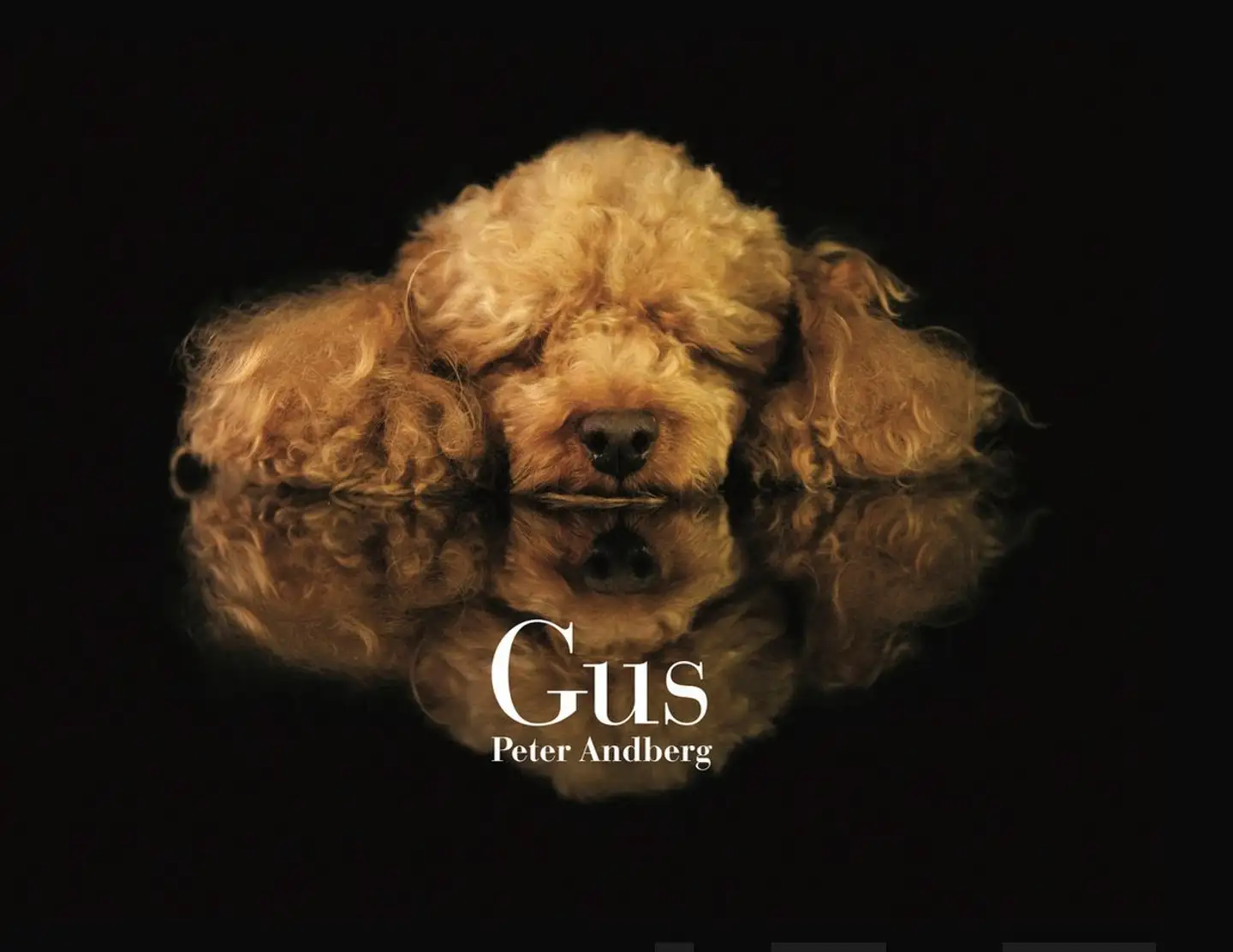 Andberg, Gus