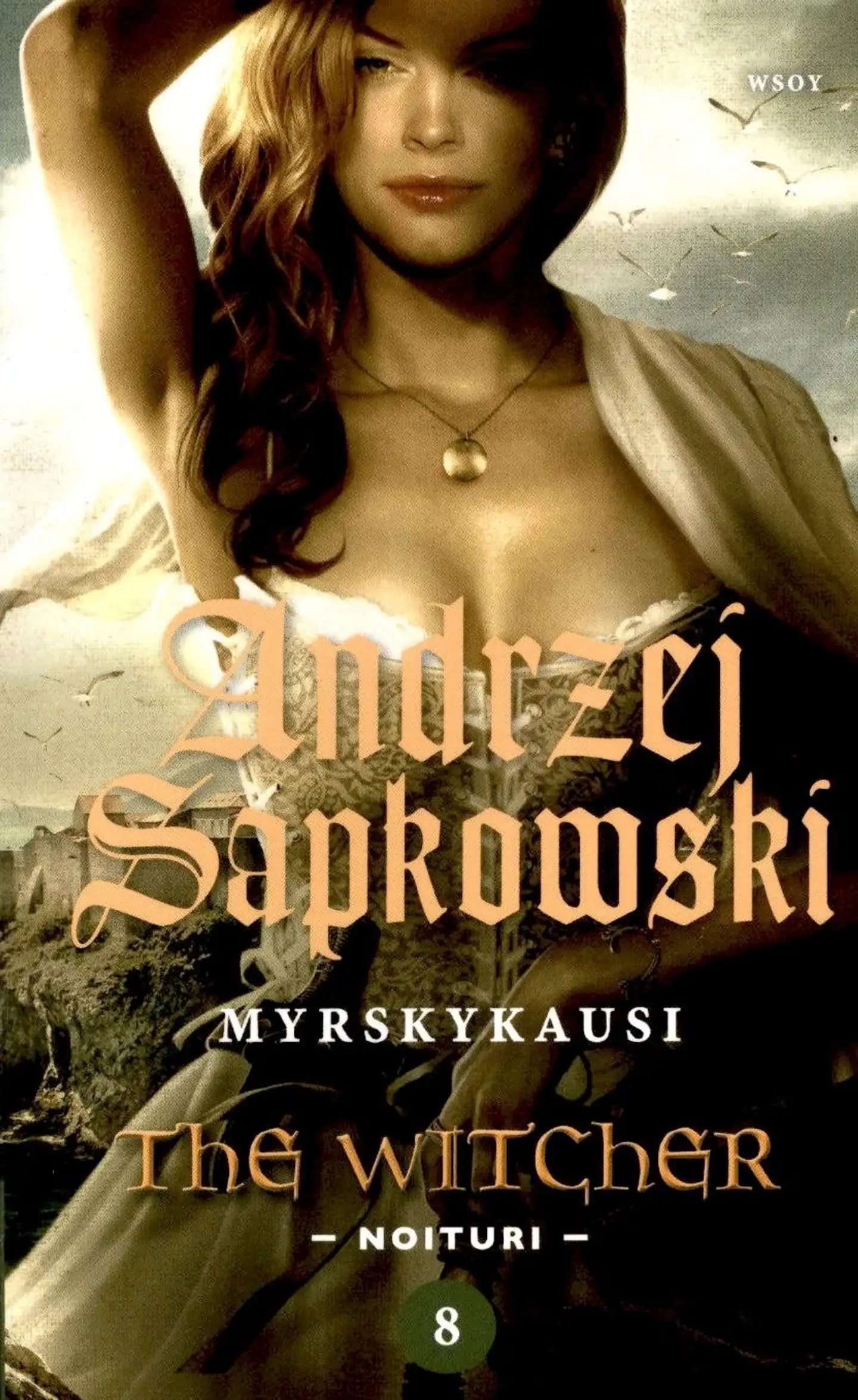 Sapkowski, Myrskykausi - The Witcher - Noituri 8