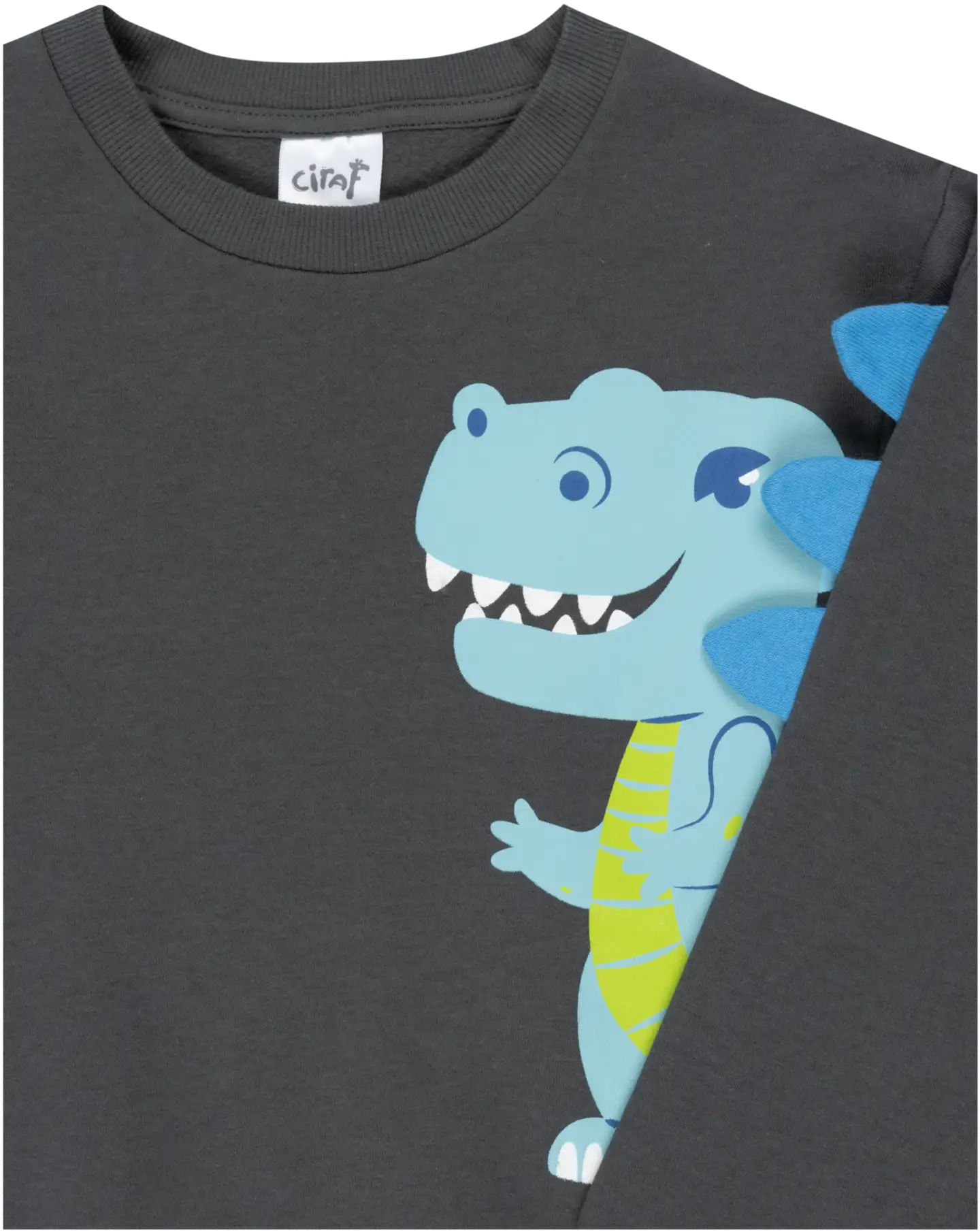 Ciraf lasten collegepusero Dino 25pc260215 - 19-4209tcx enigma - 3