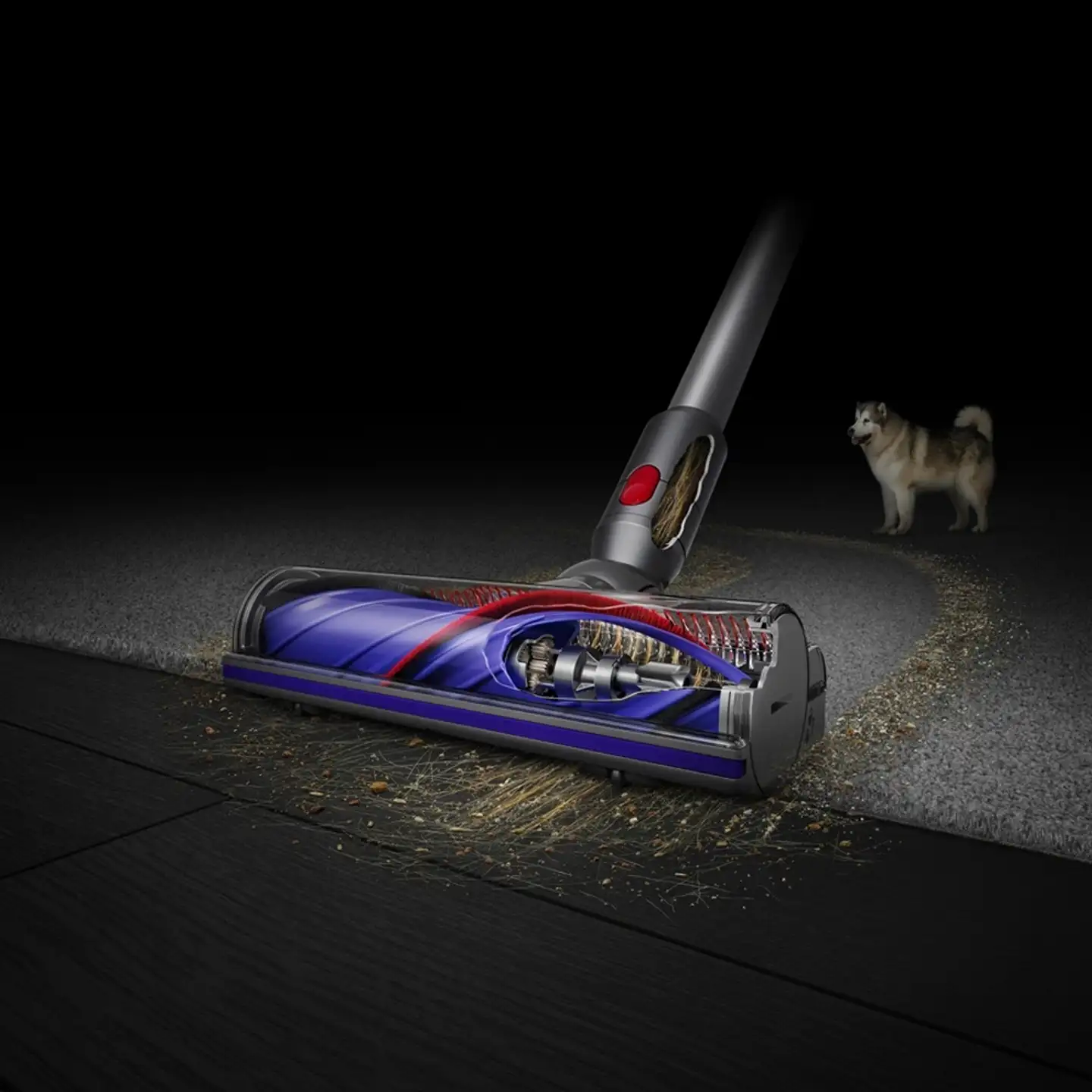 Dyson V10 Absolute varsi-imuri - 3