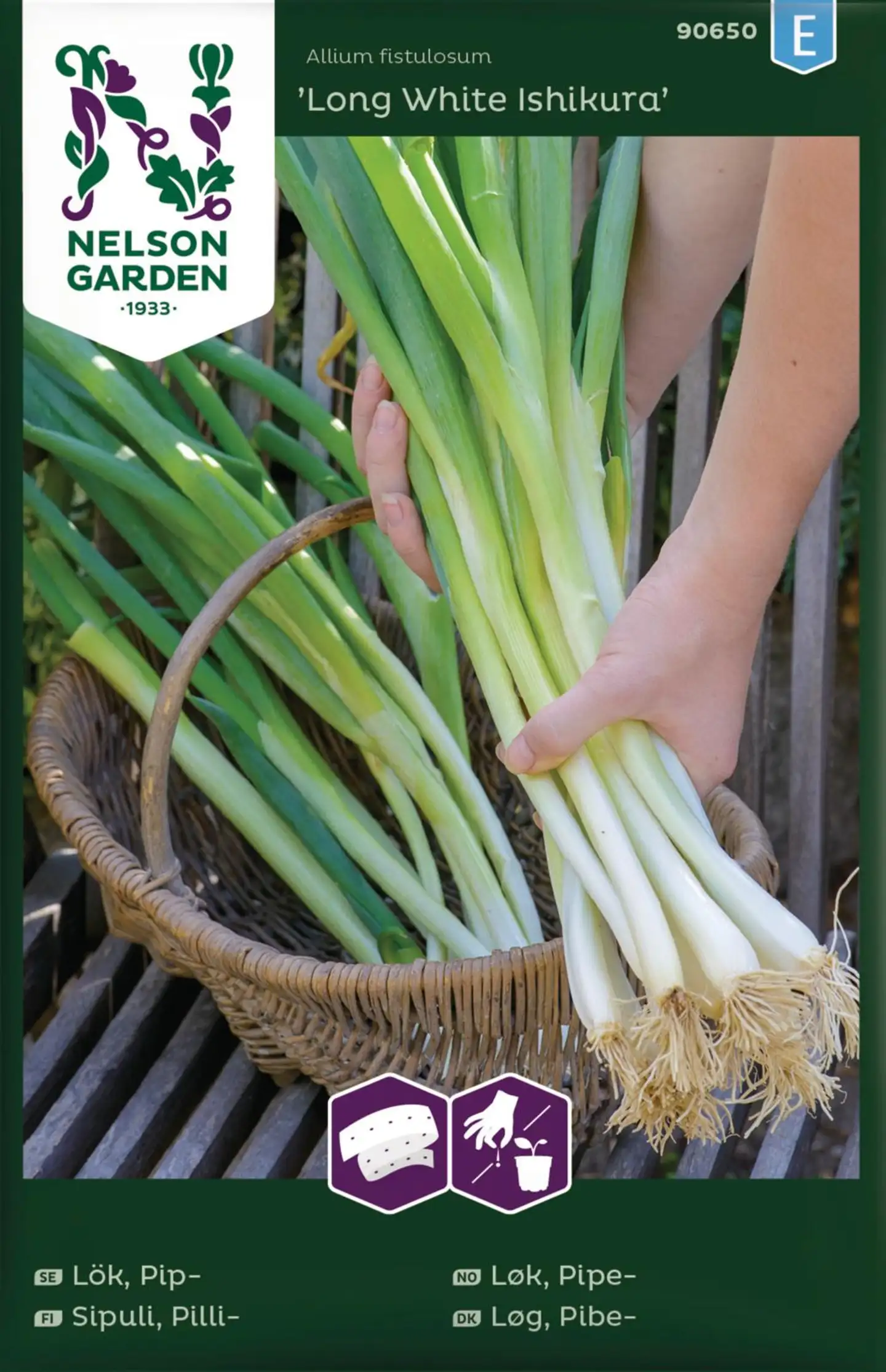 Nelson Garden Sipuli Pilli LongWh Ishik kylvö