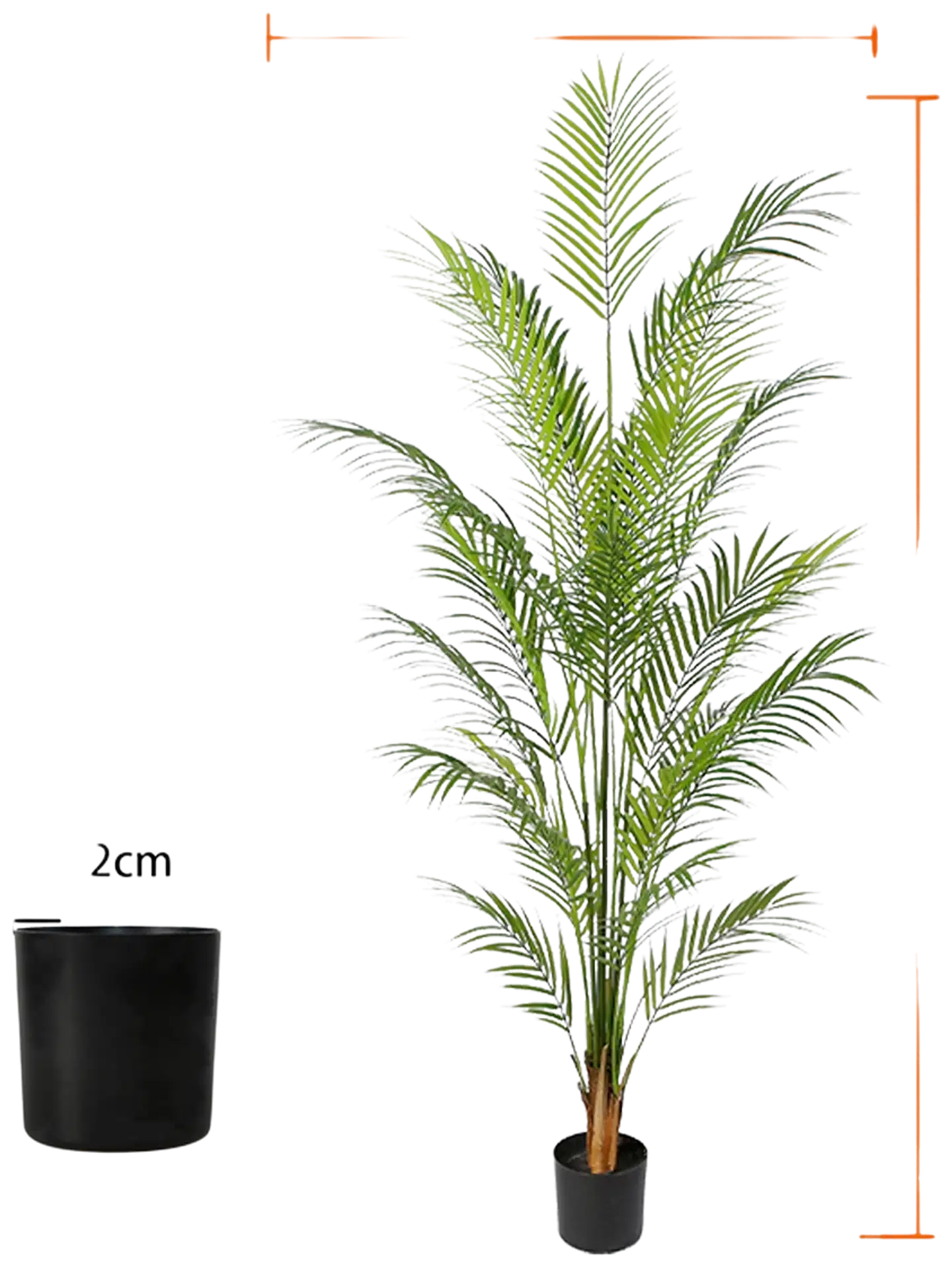 Lykke tekokasvi areca palm 150cm - 5