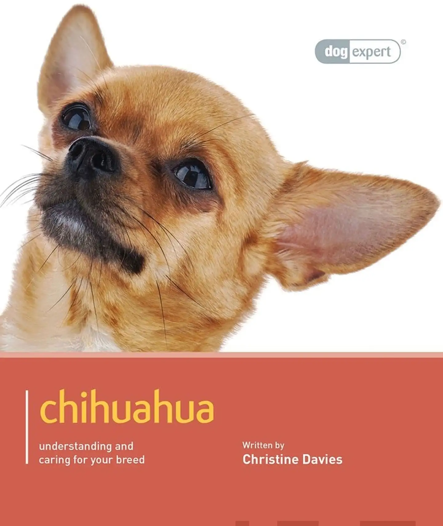 Gray, Chihuahua - Understanding and caring for your breed