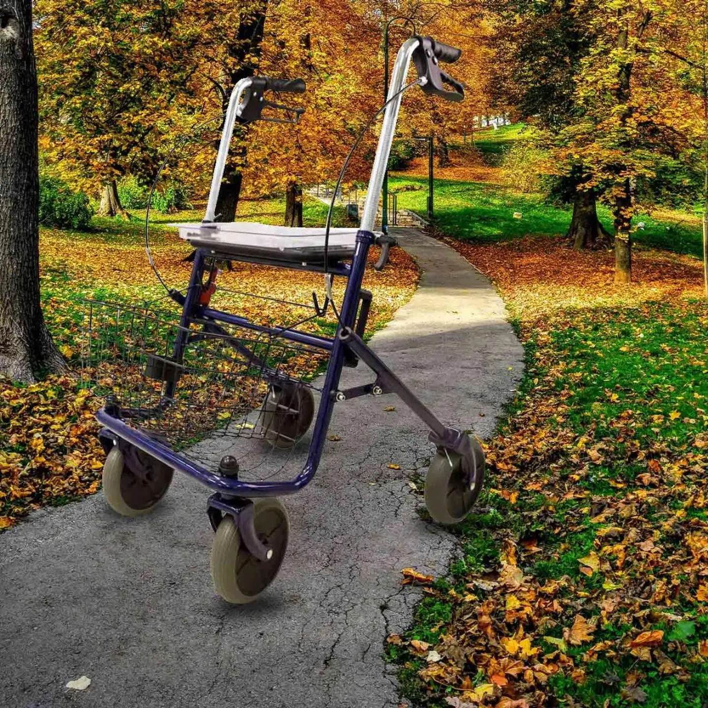 Arvo rollaattori arvo, sisä/ulko - sinin - 8