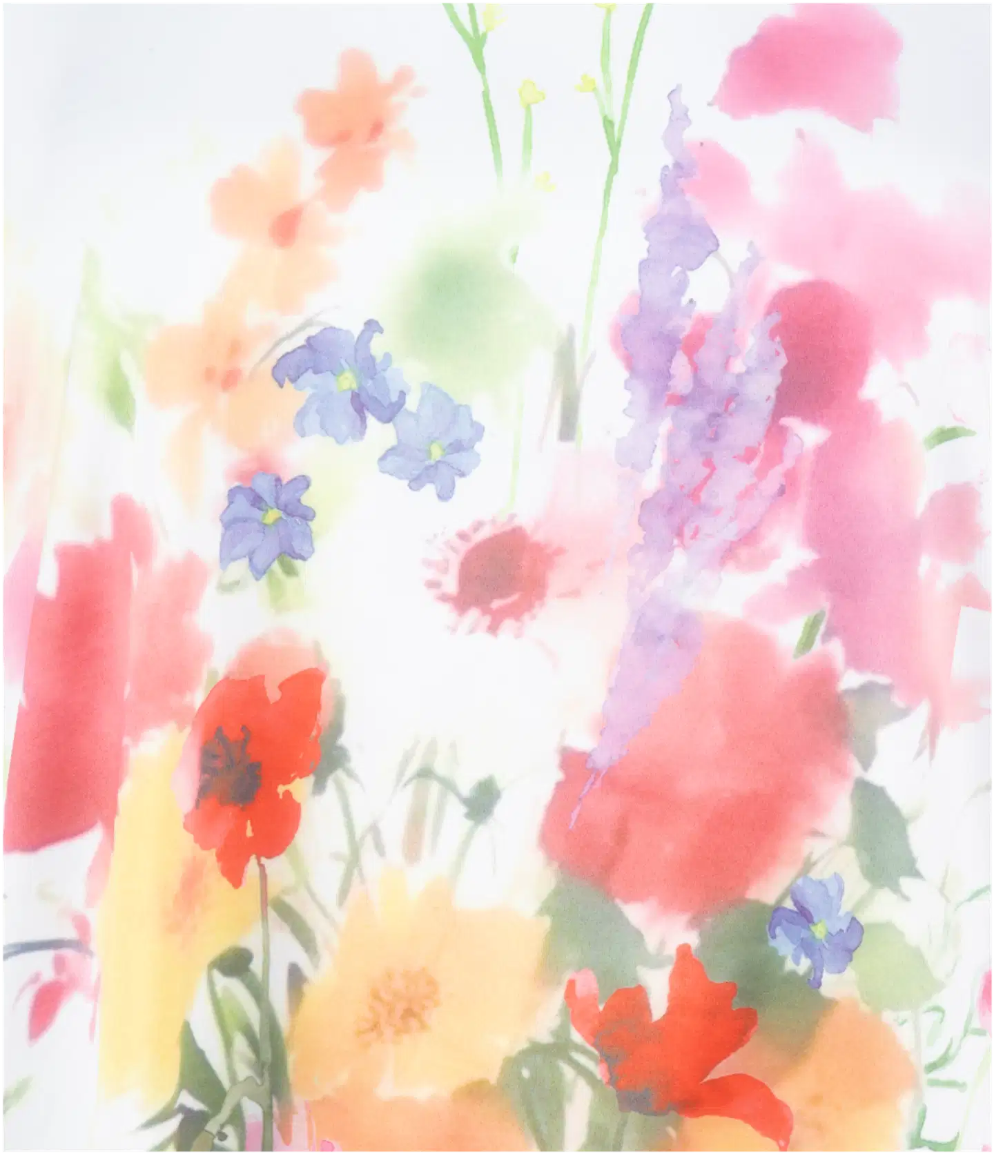 House naisten T-paita 213H261401 - white front print - 3