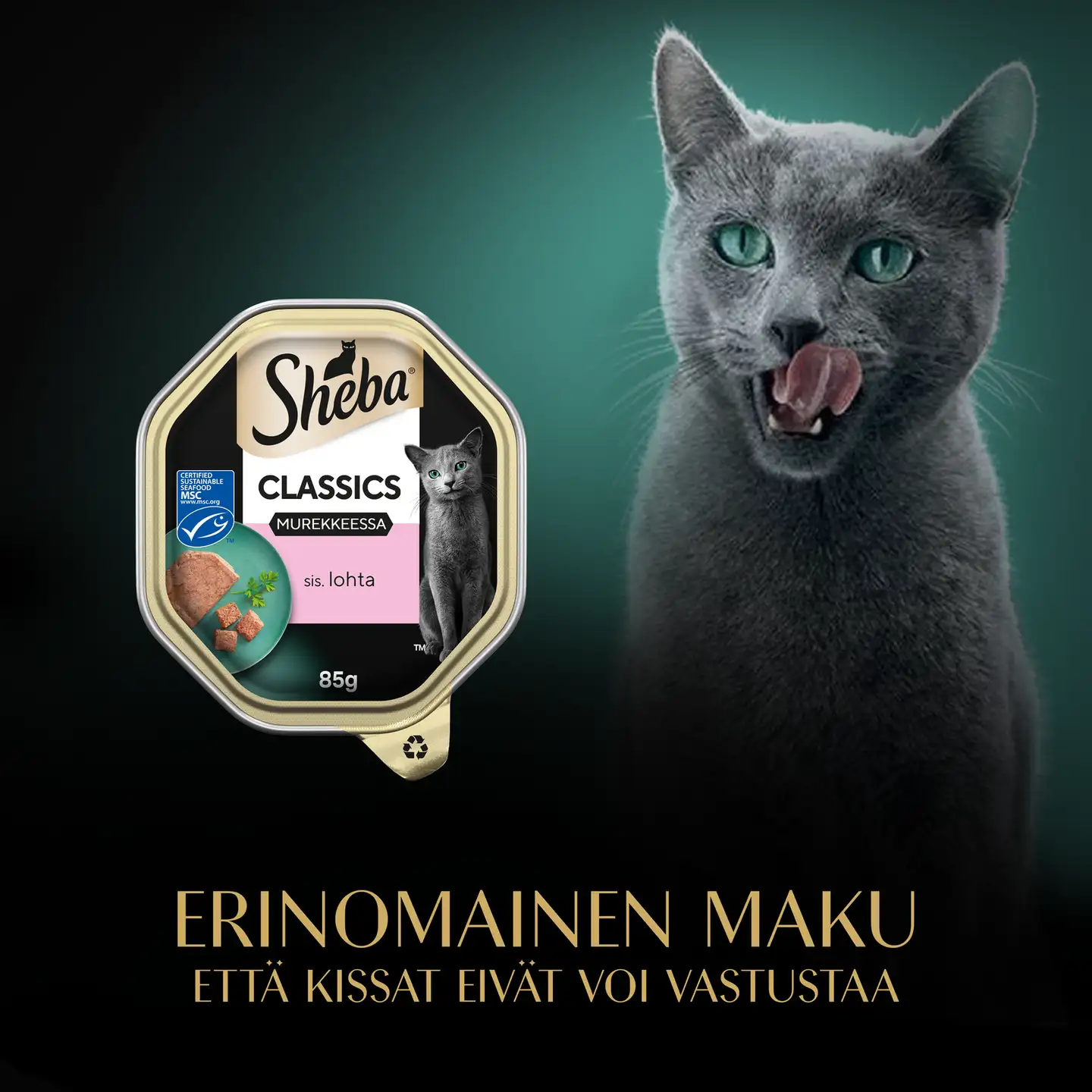 Sheba Classics sis. Lohta MSC 85g - 4