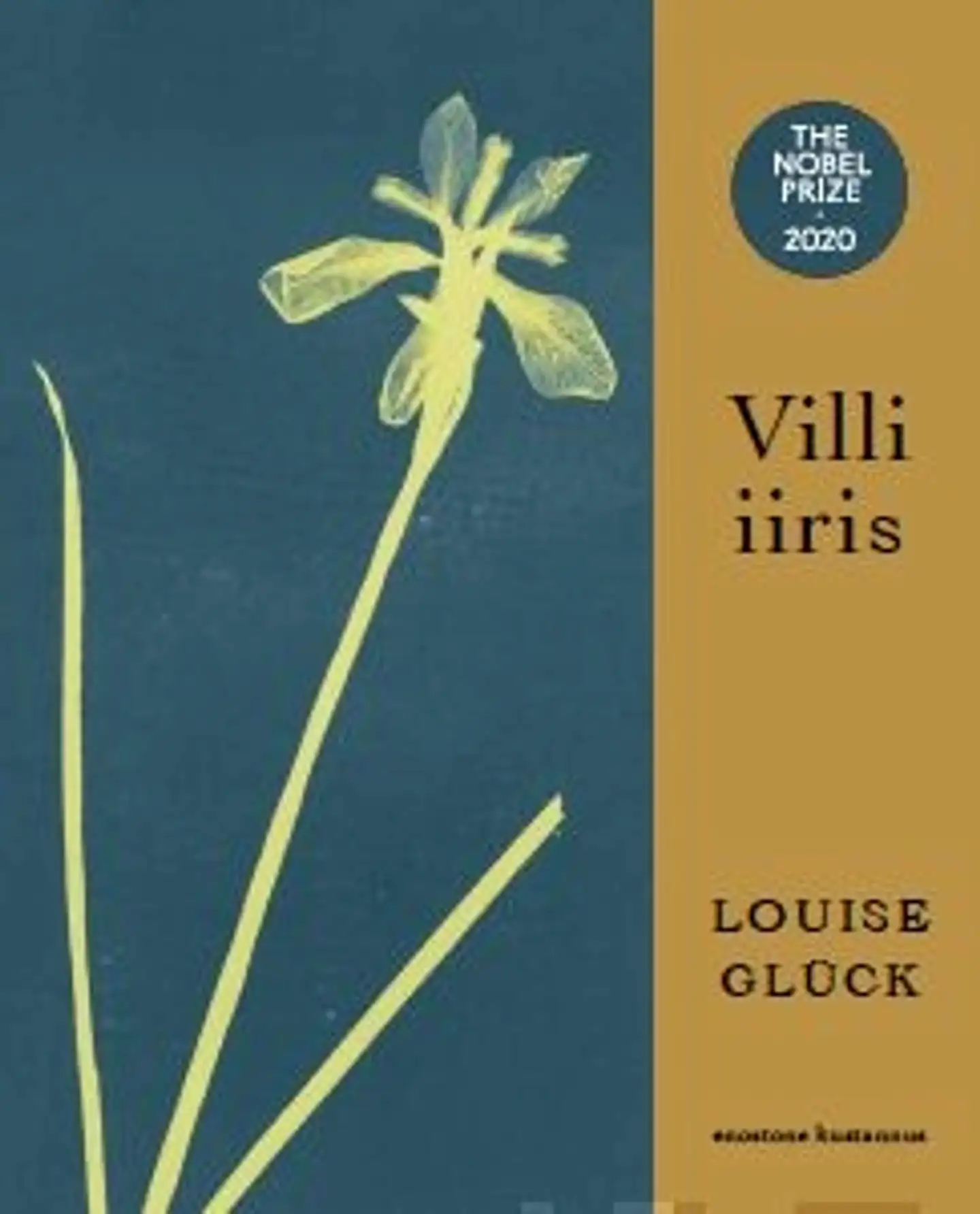 Glück, Villi iiris