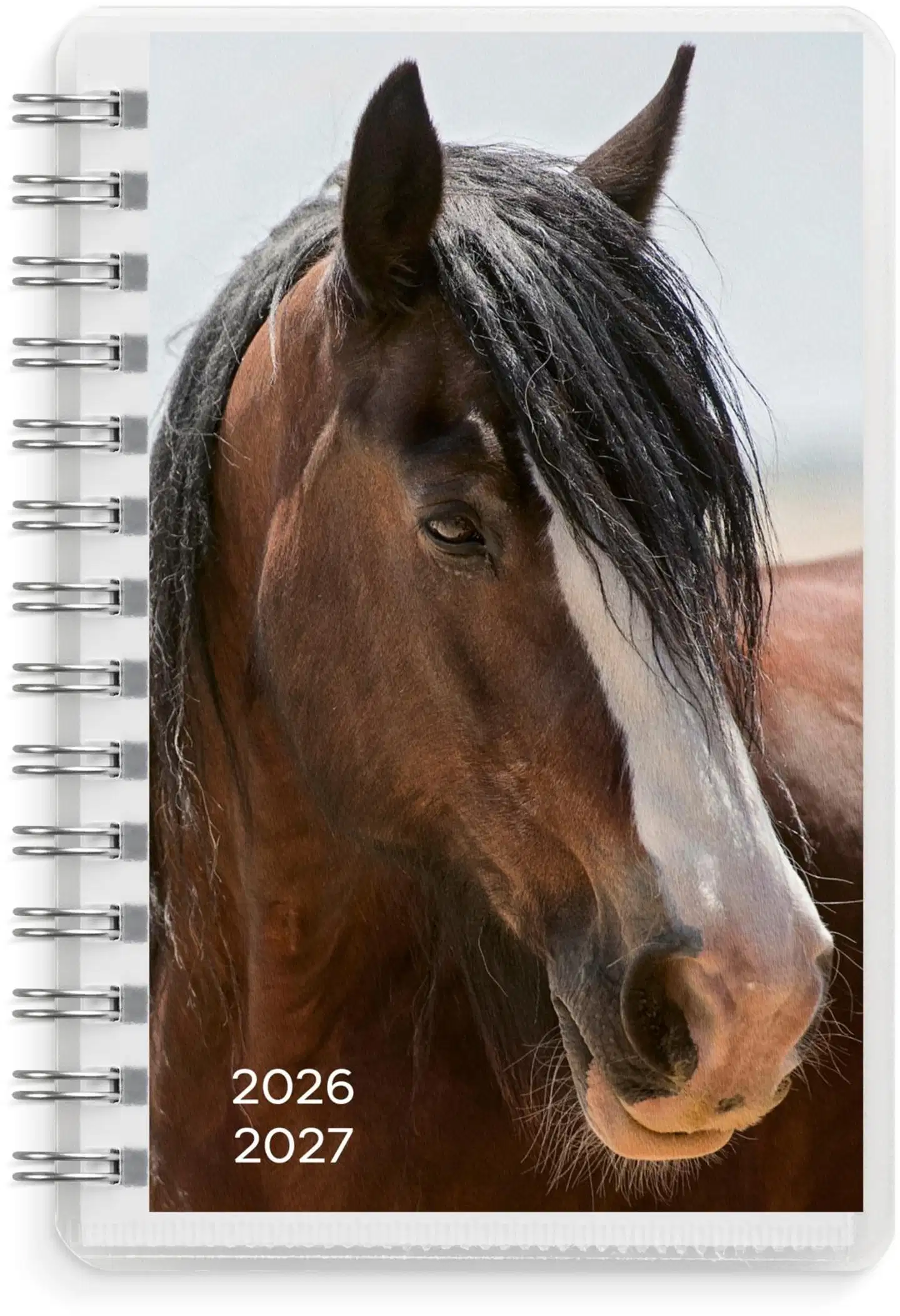 Burde kalenteri Compact Pets 26/27 - 3