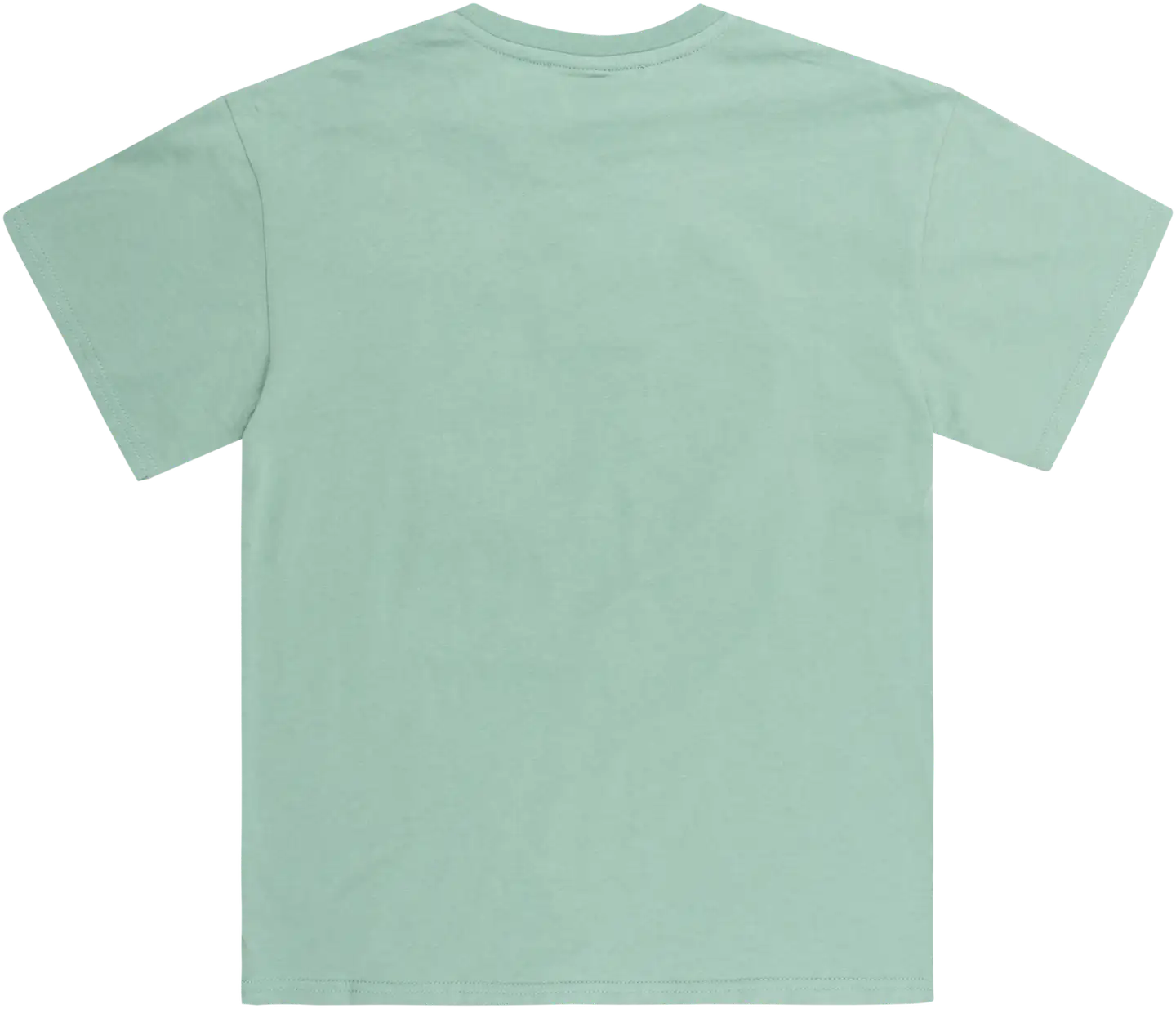 House nuorten t-paita 23PH172517 - Iceberg Green - 3