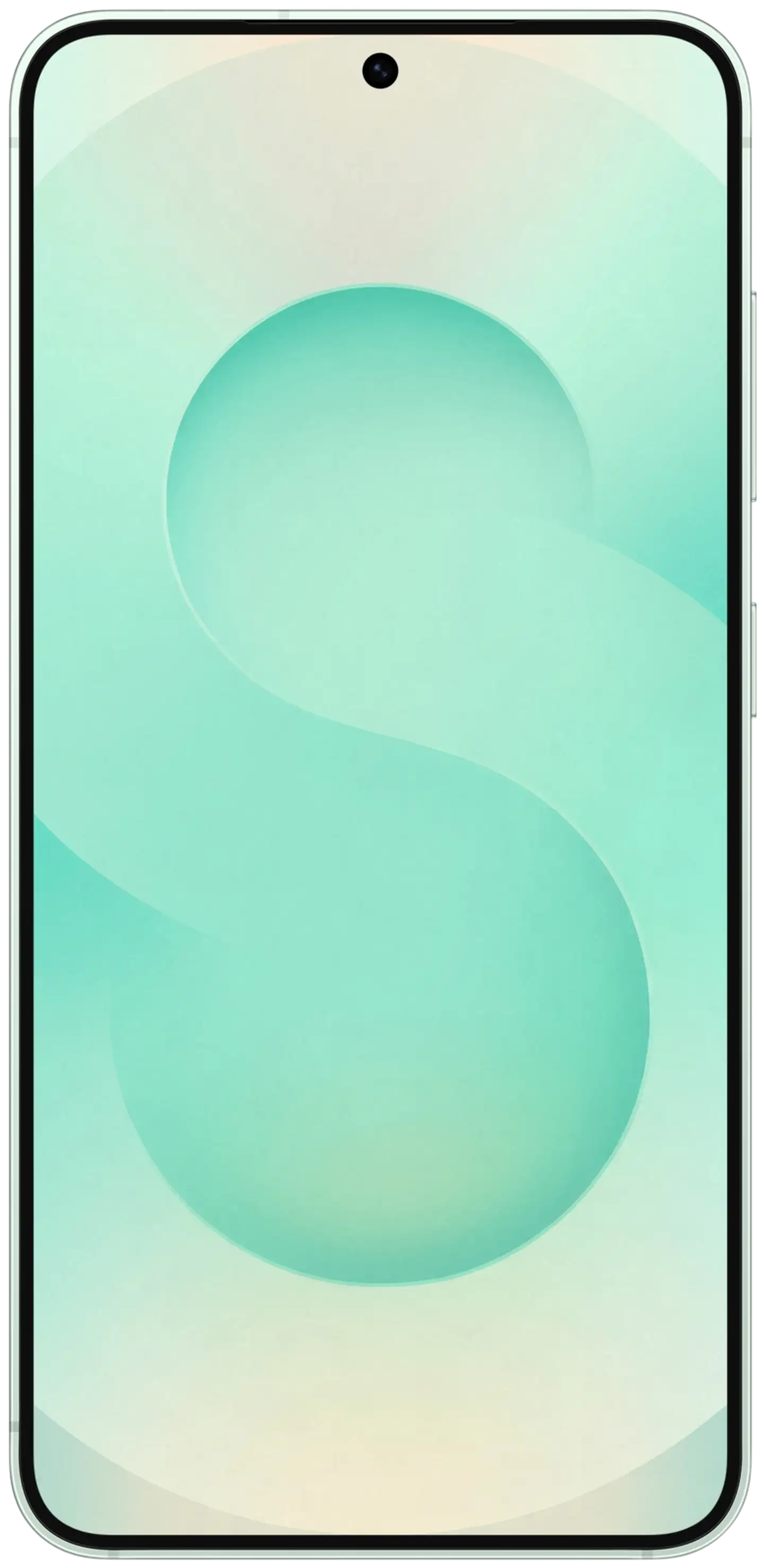 Samsung älypuhelin Galaxy S25 256 GB Mint - 5