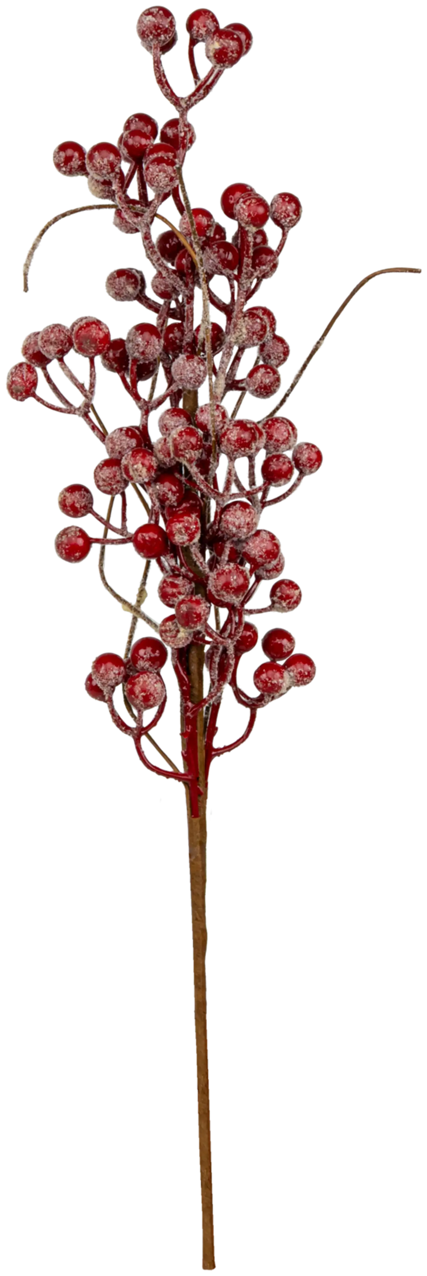 Koristeoksa 45 cm, erilaisia - 2