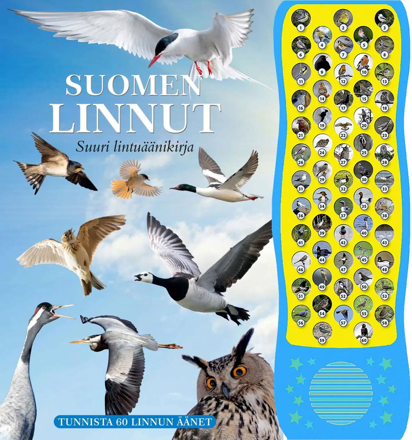 Flyktman, Suomen linnut - Suuri lintuäänikirja