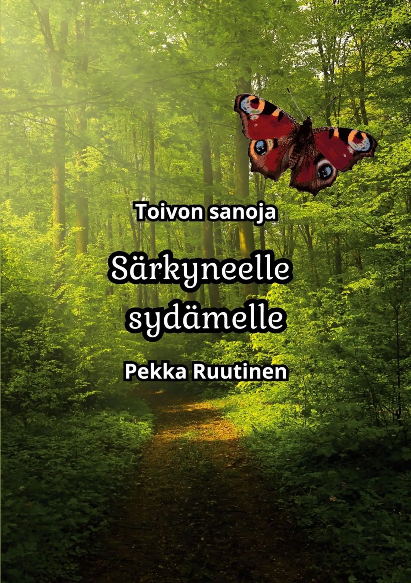 Ruutinen, Särkyneelle sydämelle - Toivon sanoja