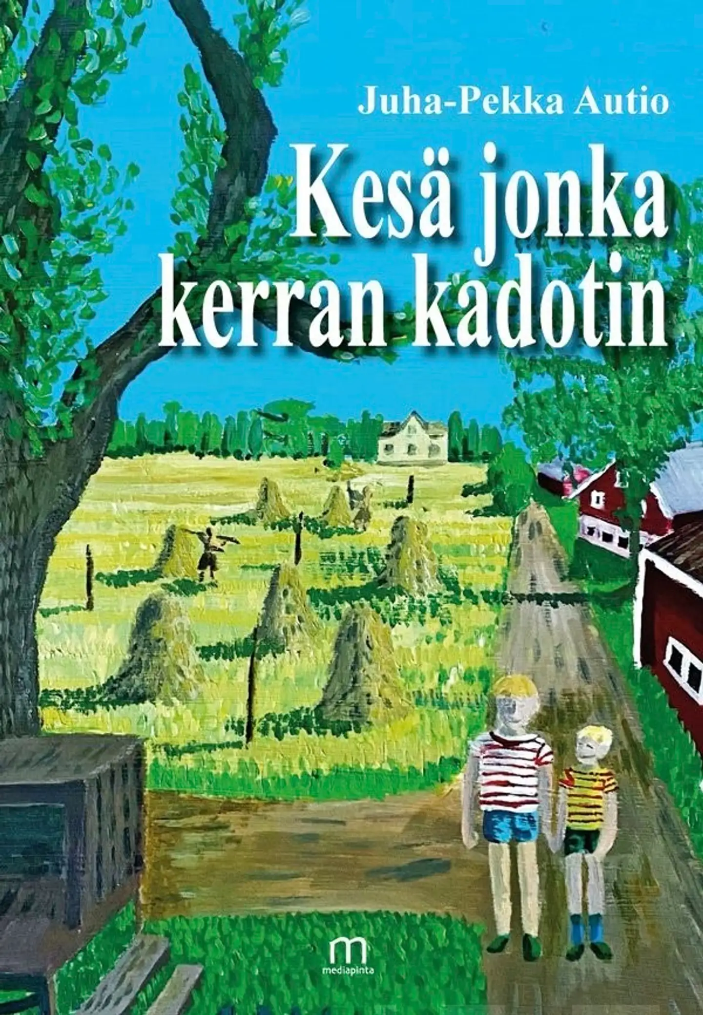 Autio Juha-Pekka, Kesä jonka kerran kadotin