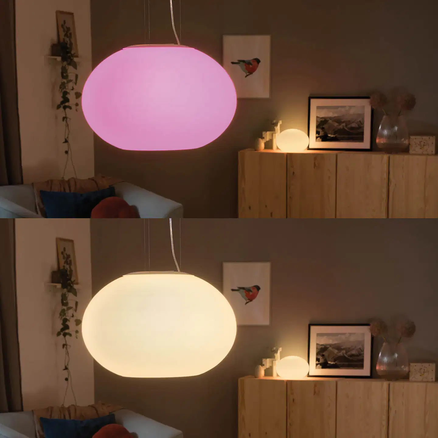 Philips Hue Flourish -riippuvalaisin 5W 2000-6500K 470LM valkoinen - 4