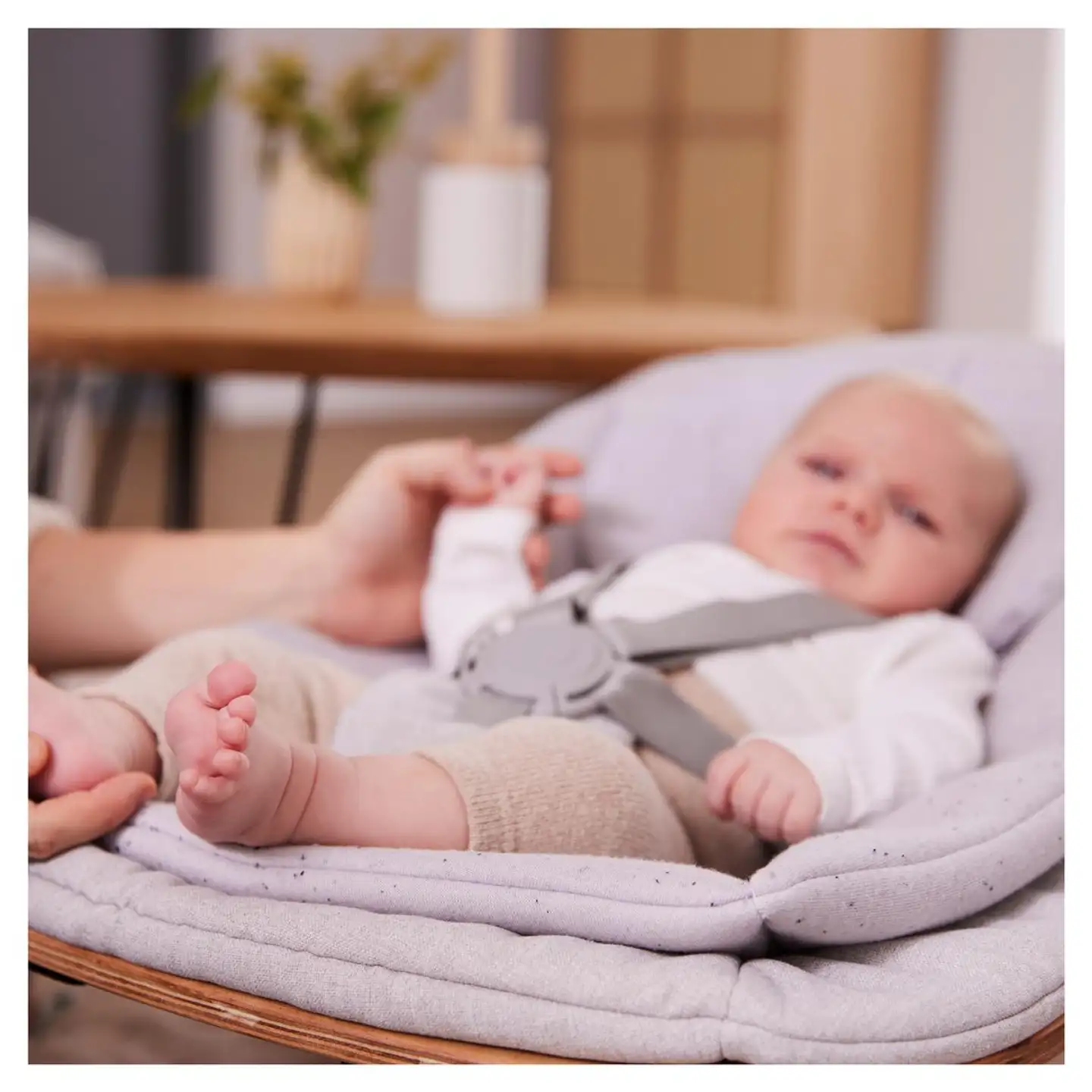 Hauck sitteri Highchair Bouncer Eco - 42