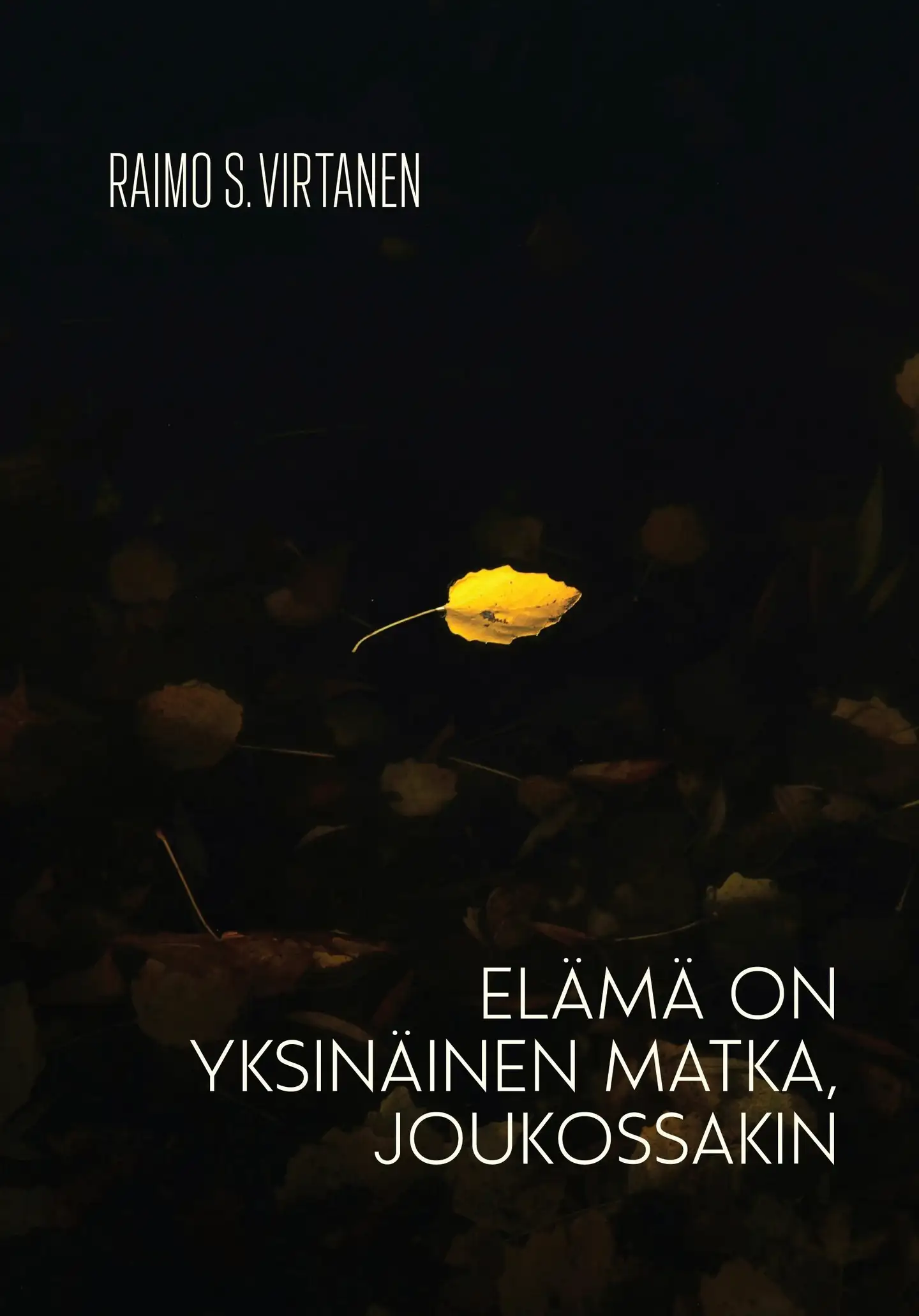 Virtanen, Elämä on yksinäinen matka, joukossakin