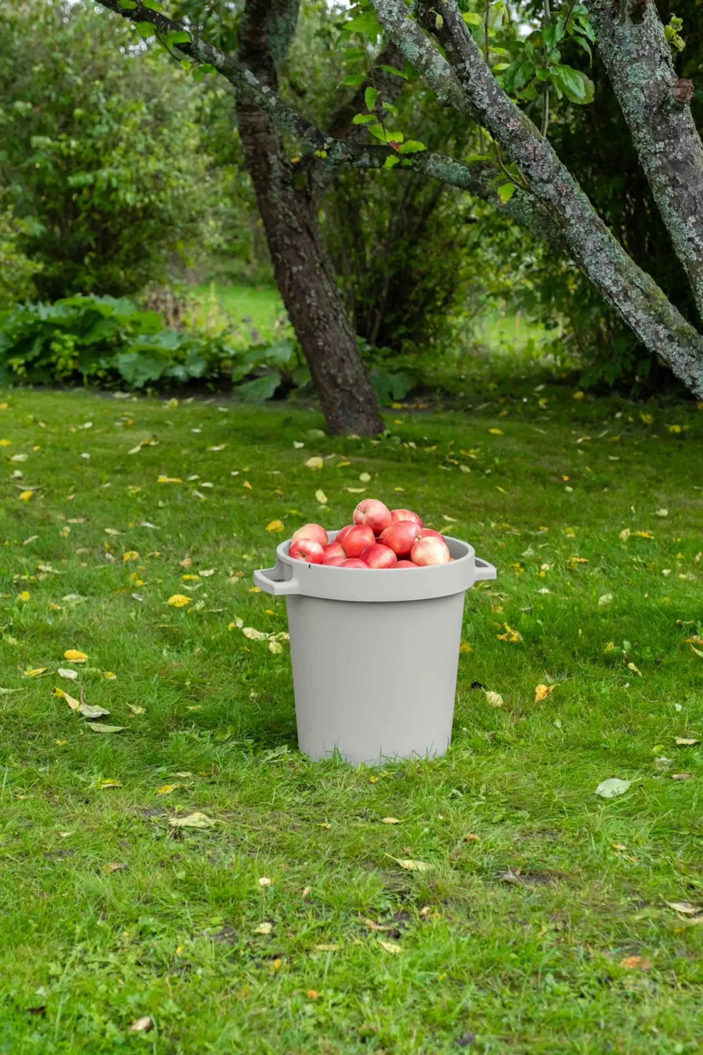 Orthex saavi 30 L - 11