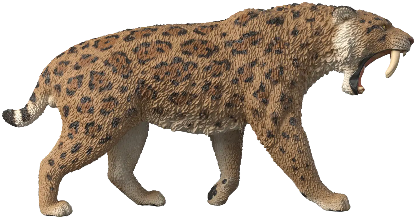 Schleich Smilodon - 4