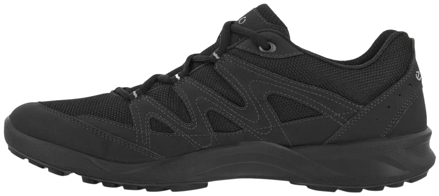 Ecco miesten ulkoilujalkine Terracruise LT GTX - Black/black - 4