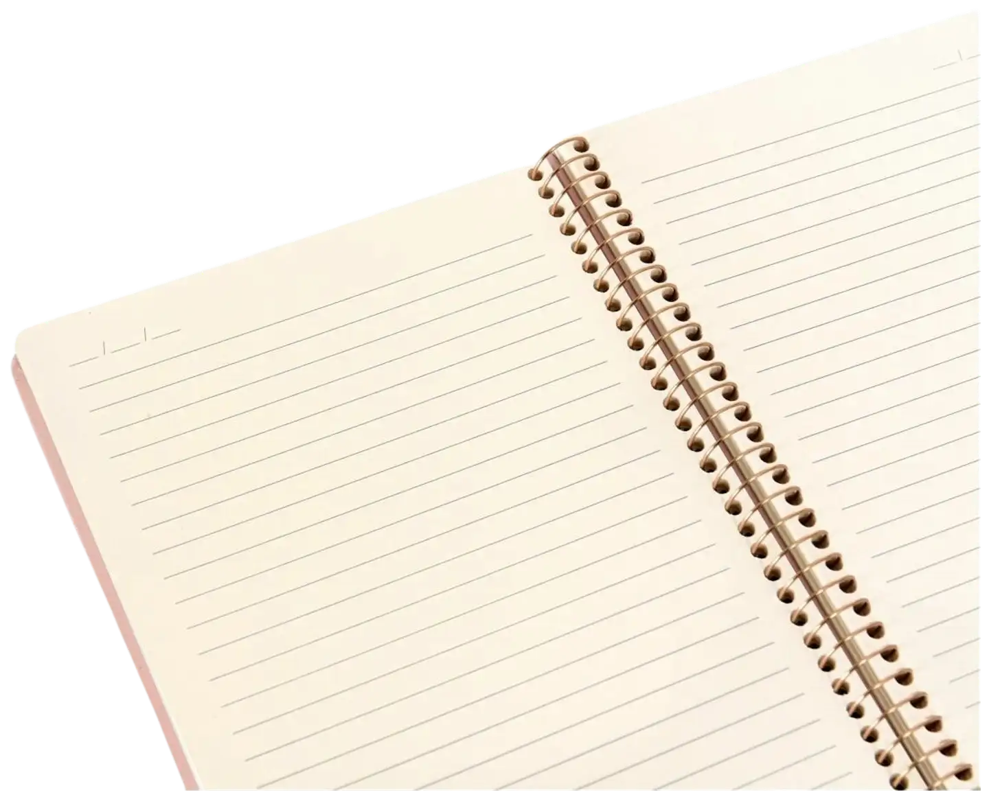 Kozo Premium Muistikirja A5 Aloe Vera - 2