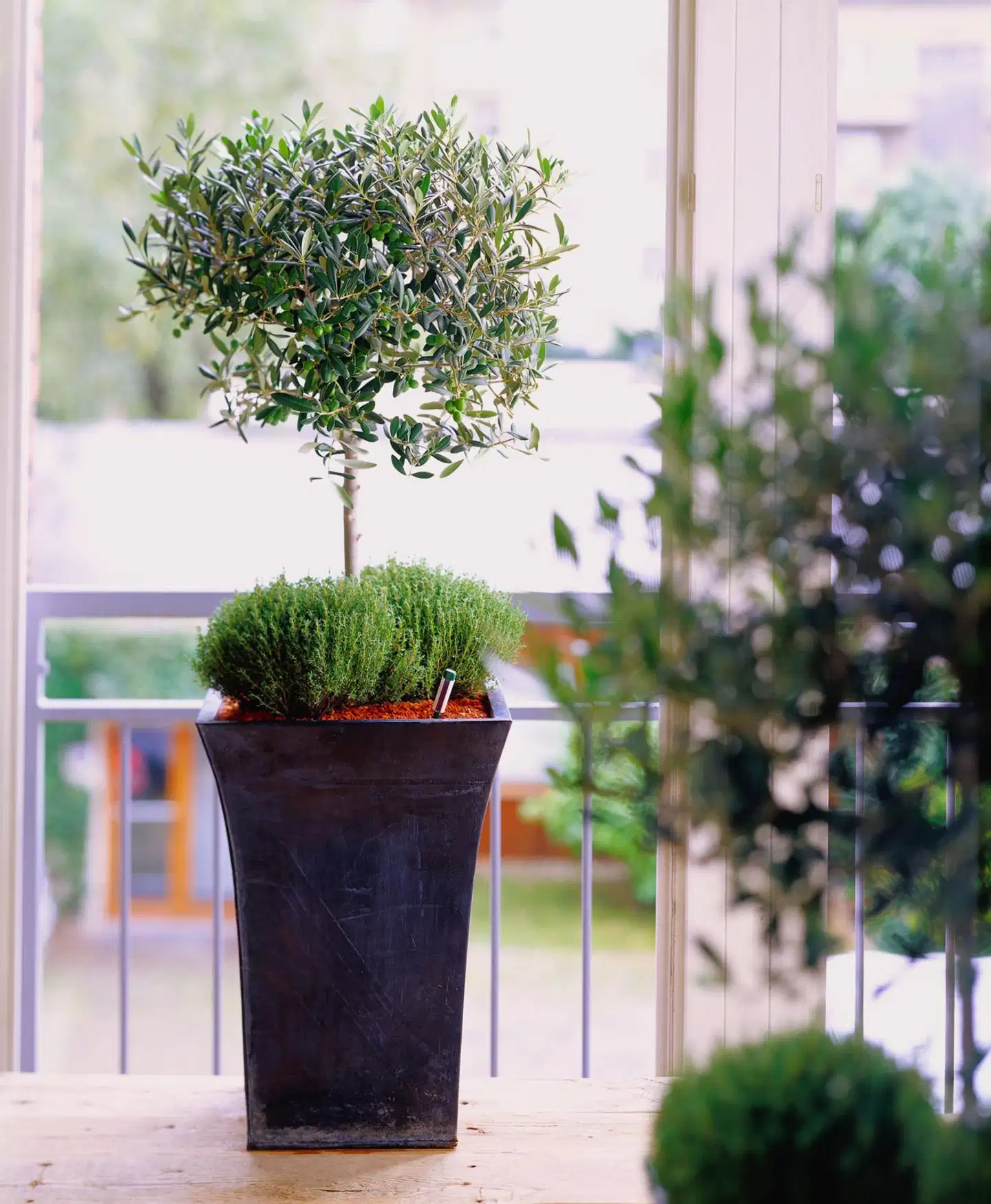 Seramis Savirouhe 15 L - 2