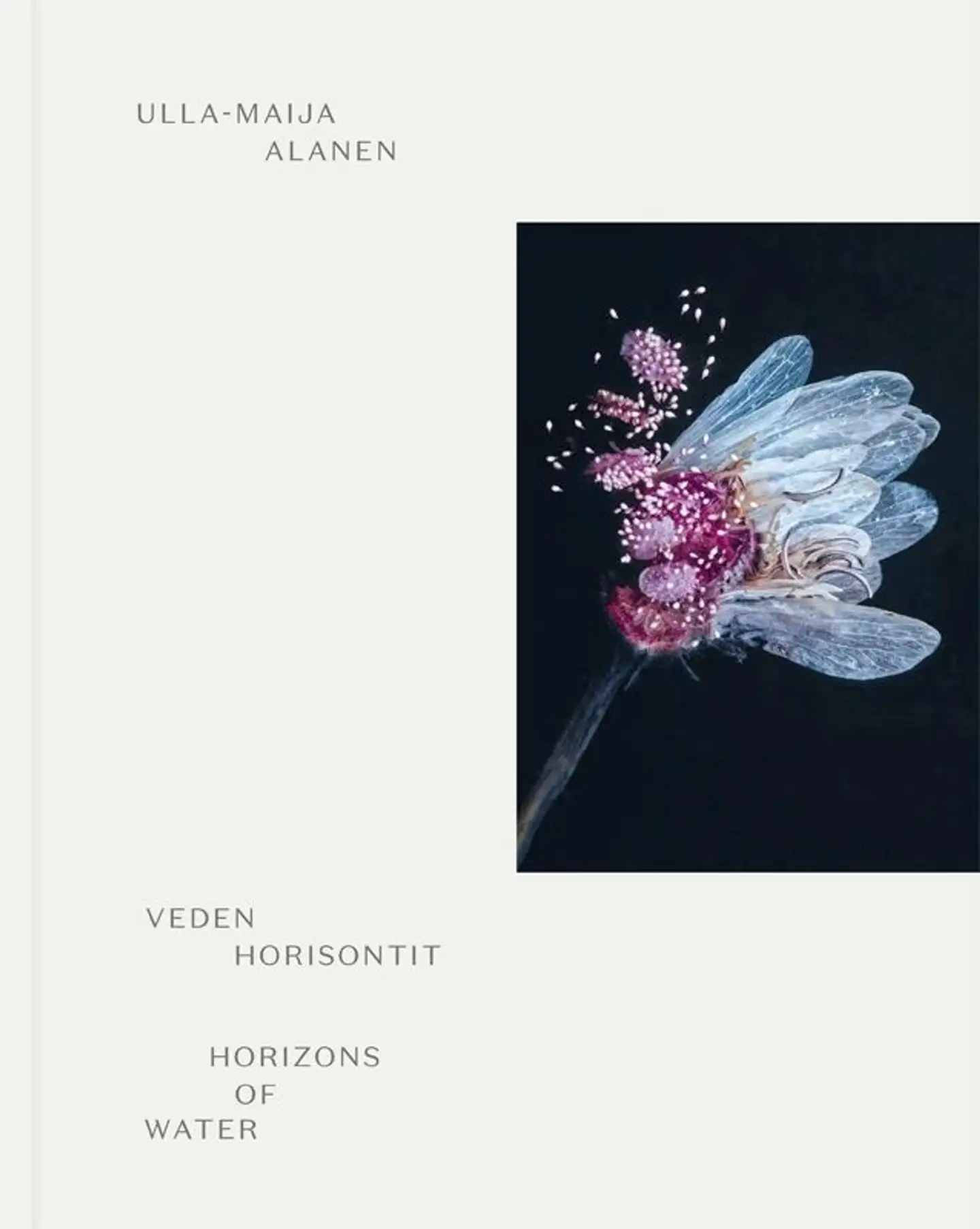 Alanen, Veden horisontit - Horizons of water