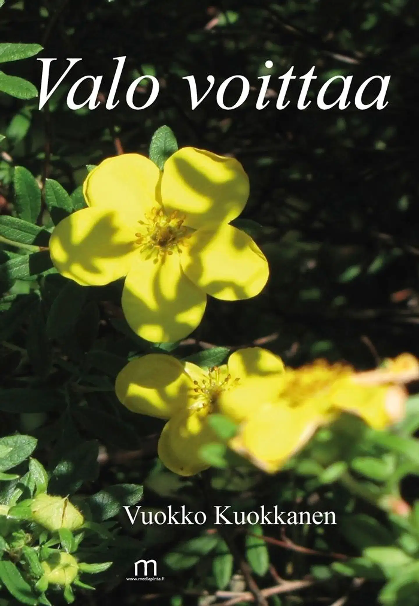 Kuokkanen, Valo voittaa