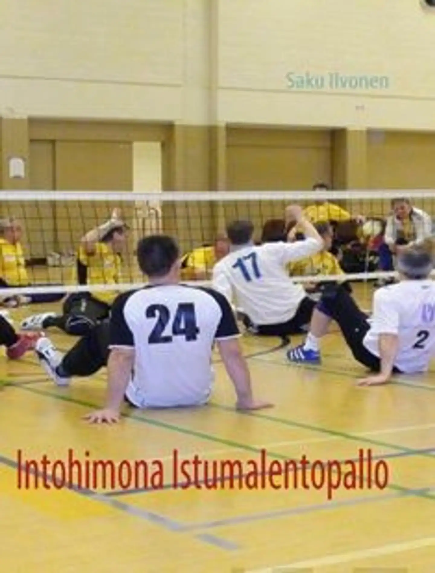 Ilvonen, Intohimona istumalentopallo