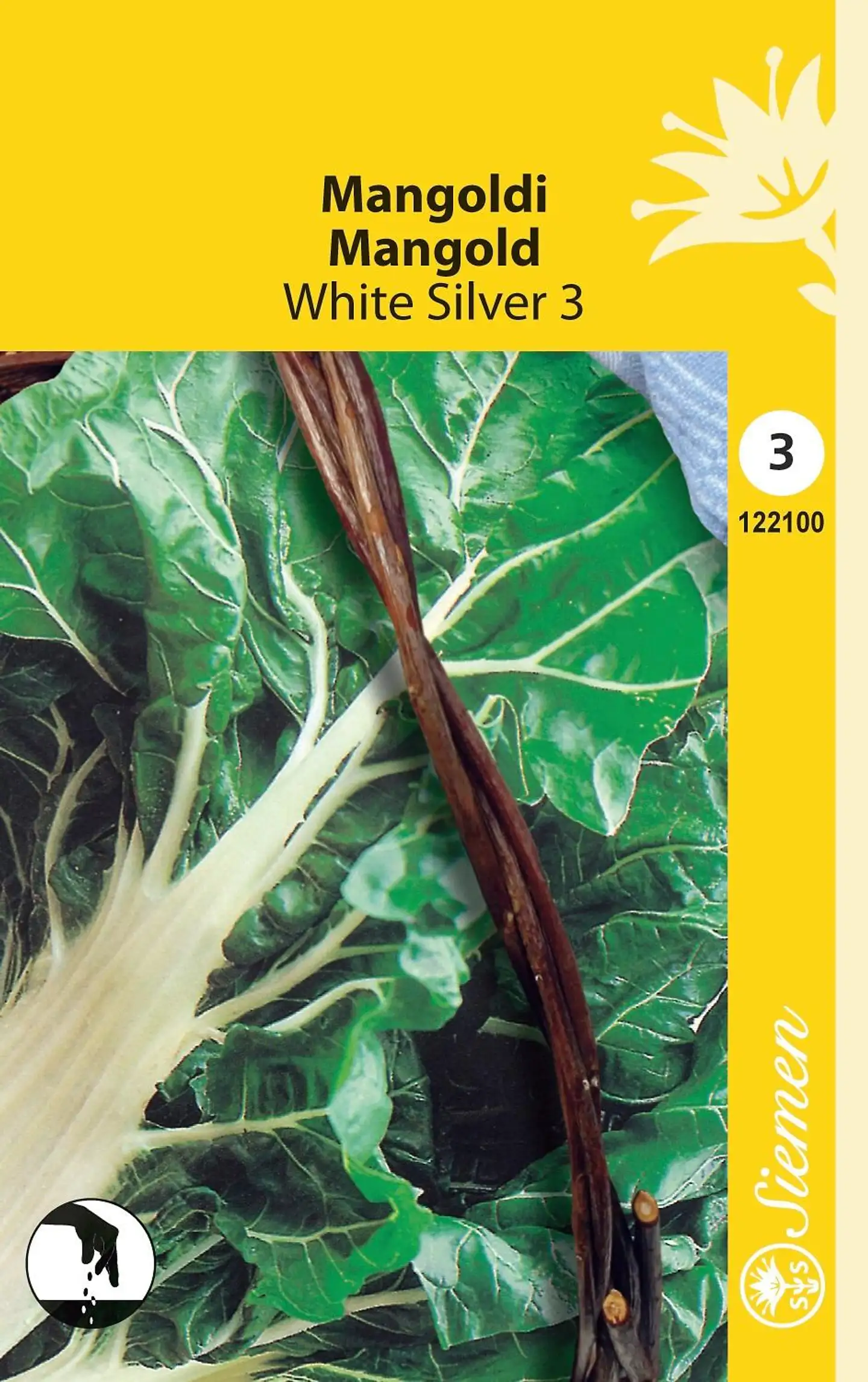 Siemen mangoldi 'White Silver 3'