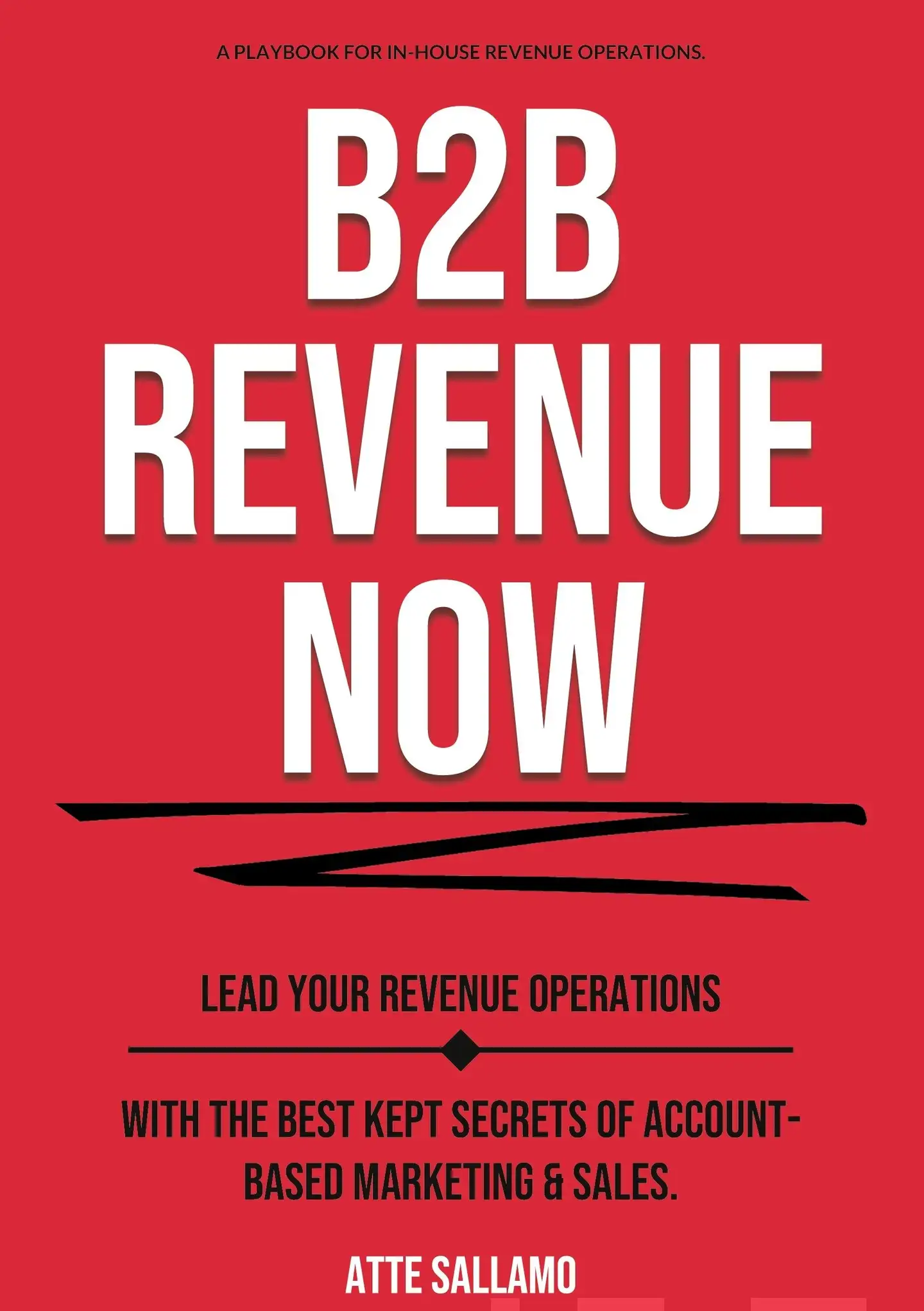 Sallamo, B2B Revenue NOW - Lead Your Revenue Operations with the Best Kept Secrets of Account-Based Marketing & Sales.
