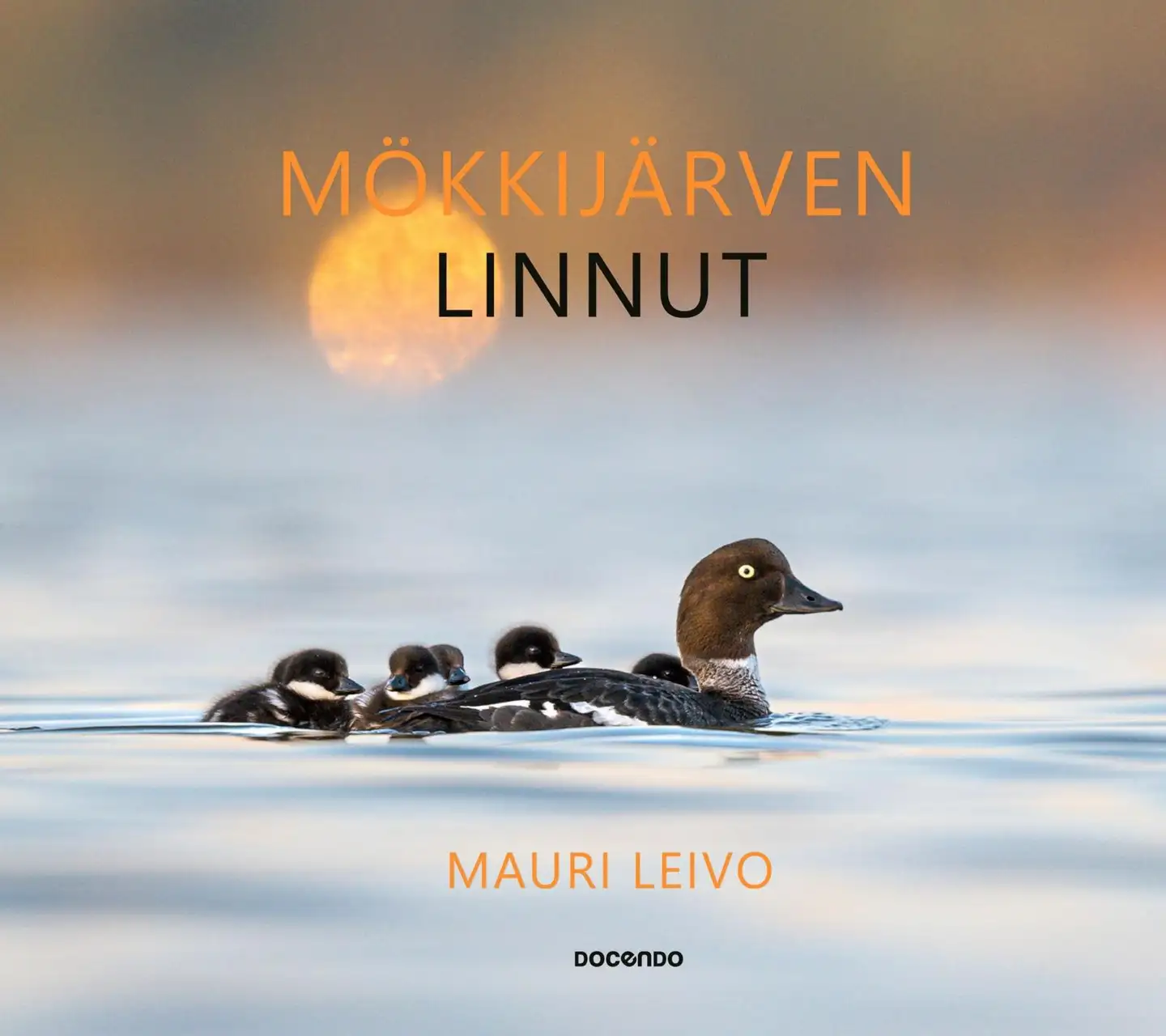 Leivo, Mökkijärven linnut