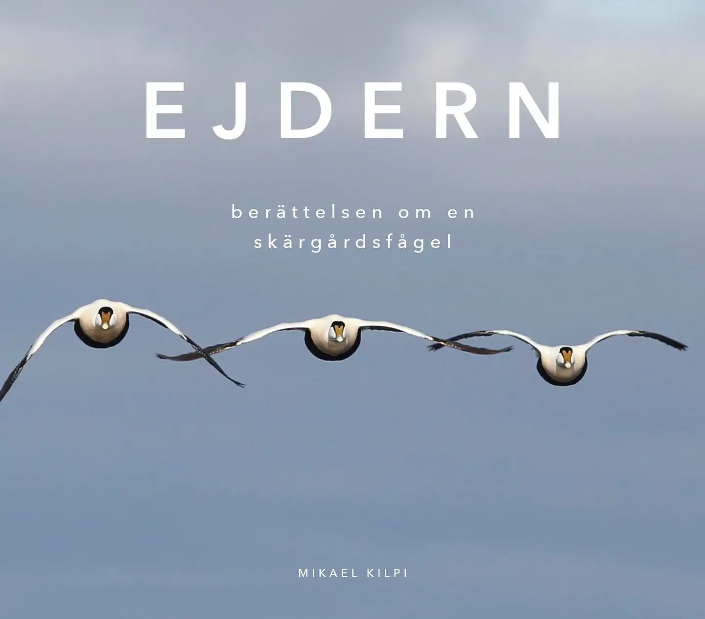 Kilpi, Ejdern - Berättelsen om en skärgårdsfågel