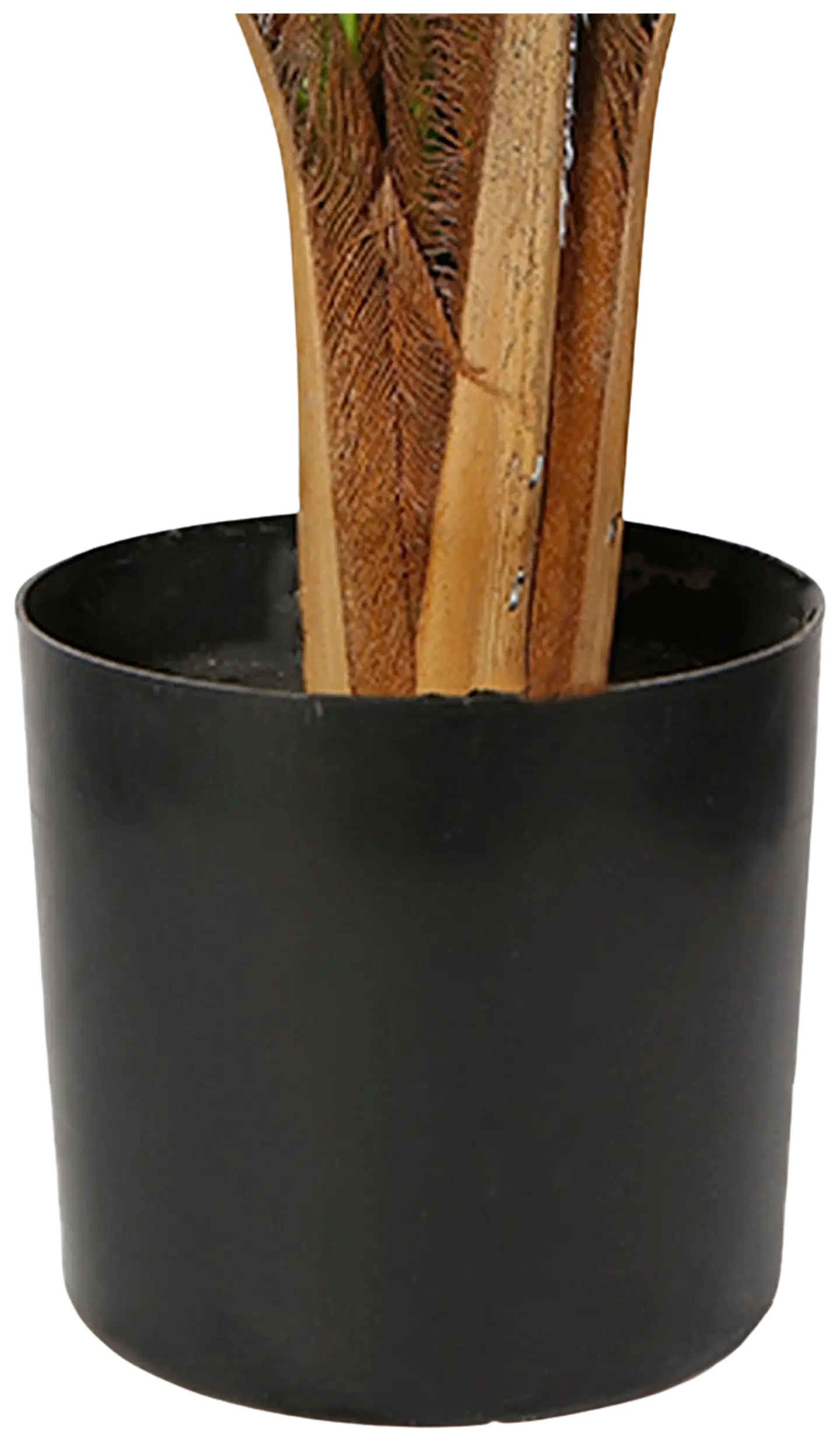 Lykke tekokasvi areca palm 150cm - 2