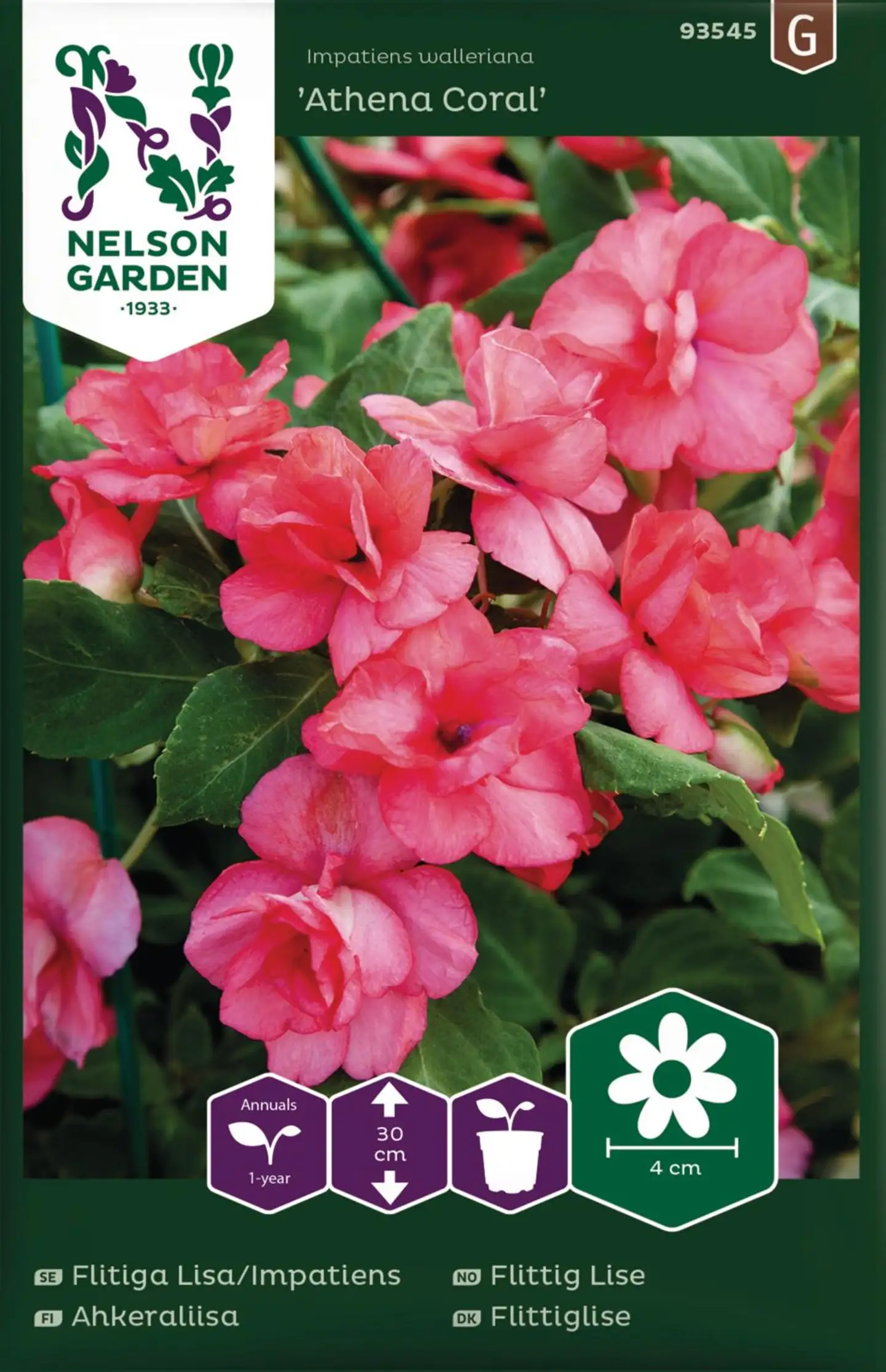 Nelson Garden Ahkeraliisa, Athena Coral F1