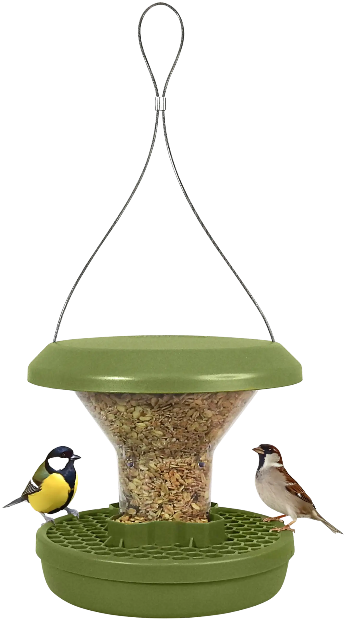 Swissinno Lintulauta Geneva S - 4