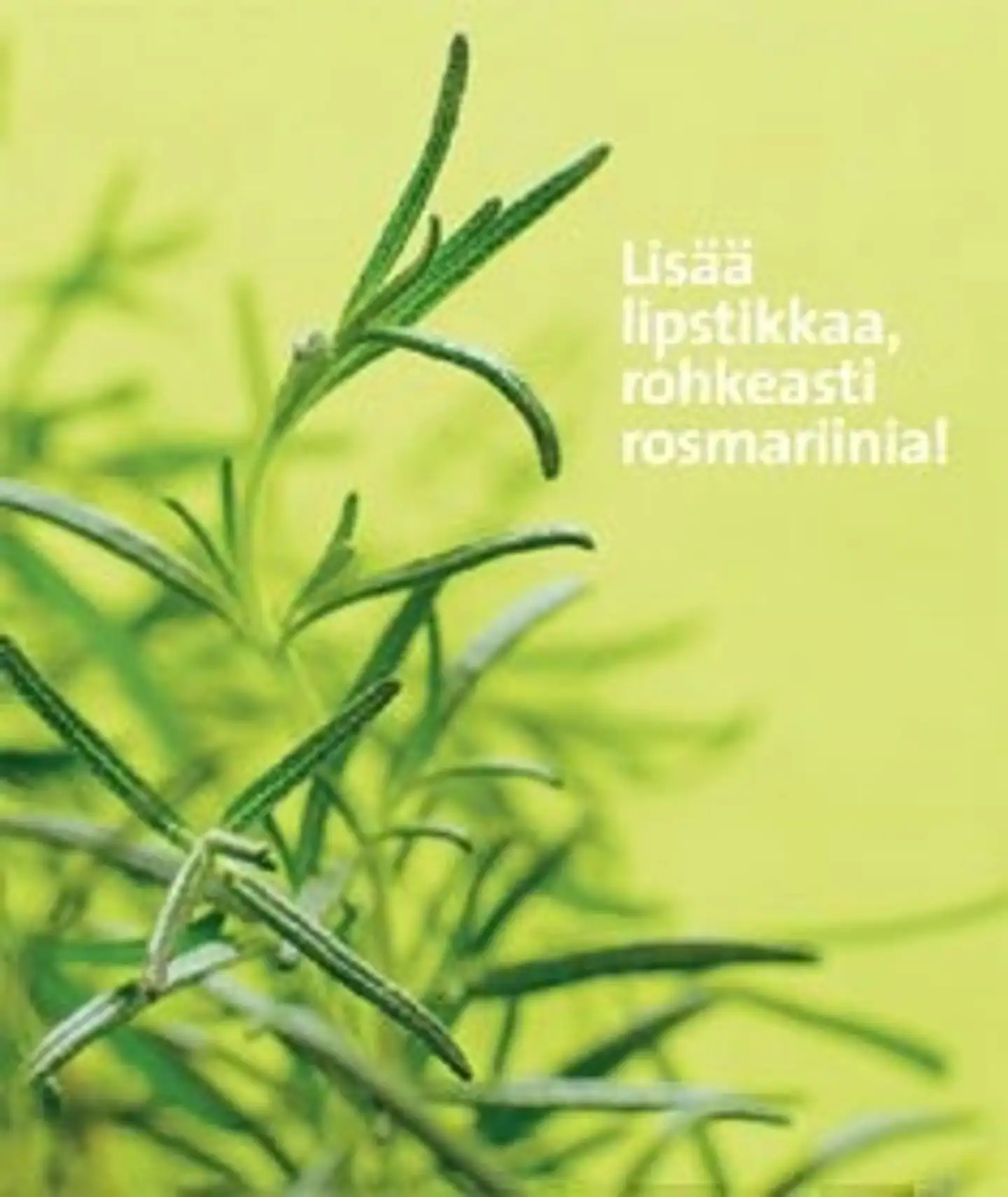 Lisää lipstikkaa, rohkeasti rosmariinia!