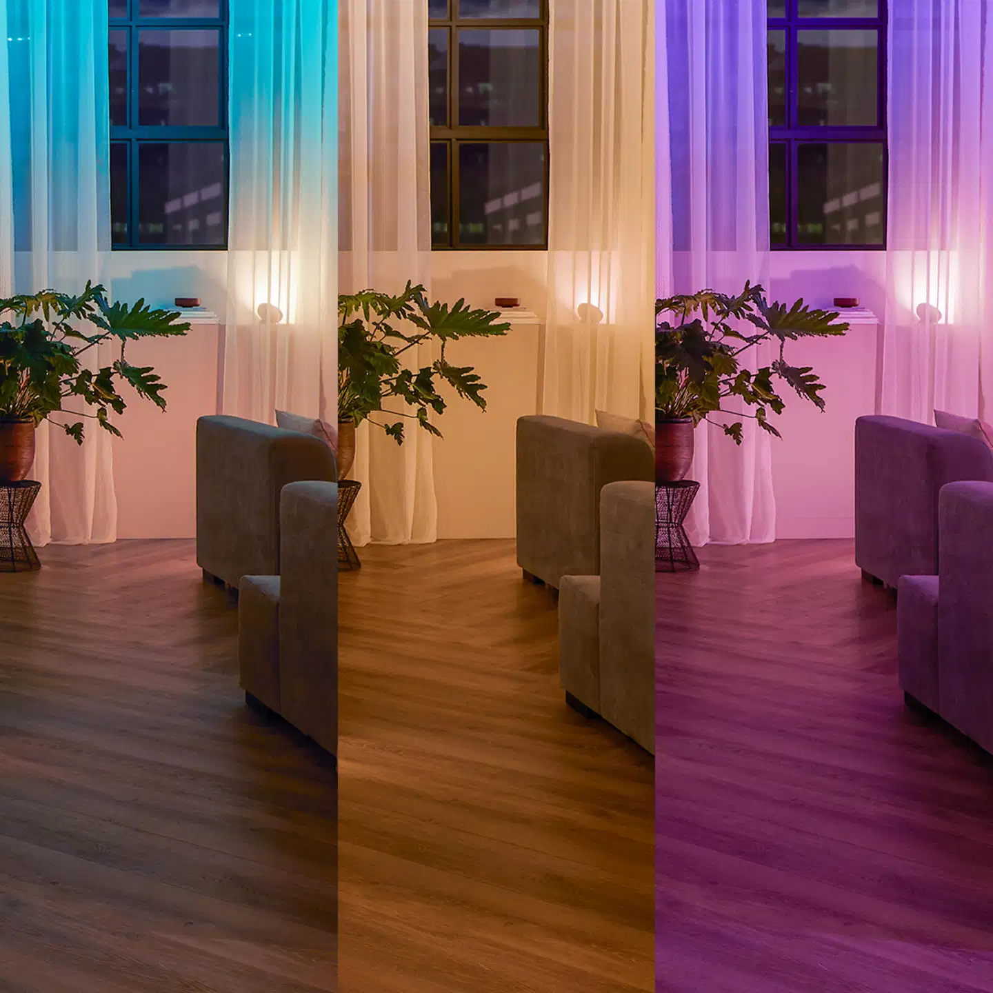 Philips Hue paristokäyttöinen seinäkytkin 2 kappaletta - 4
