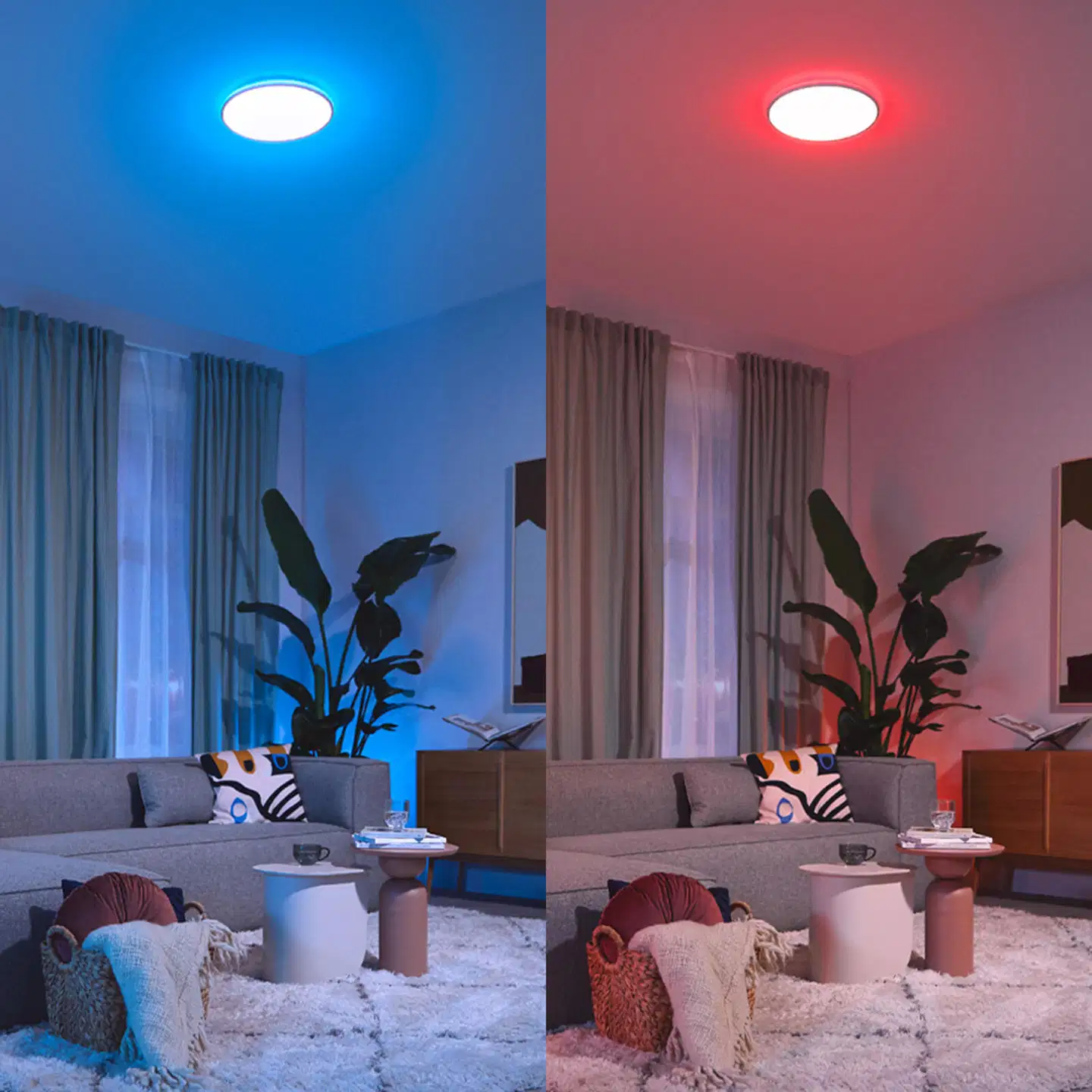 Philips Smart Lighting himmenninkytkin valkoinen - 6