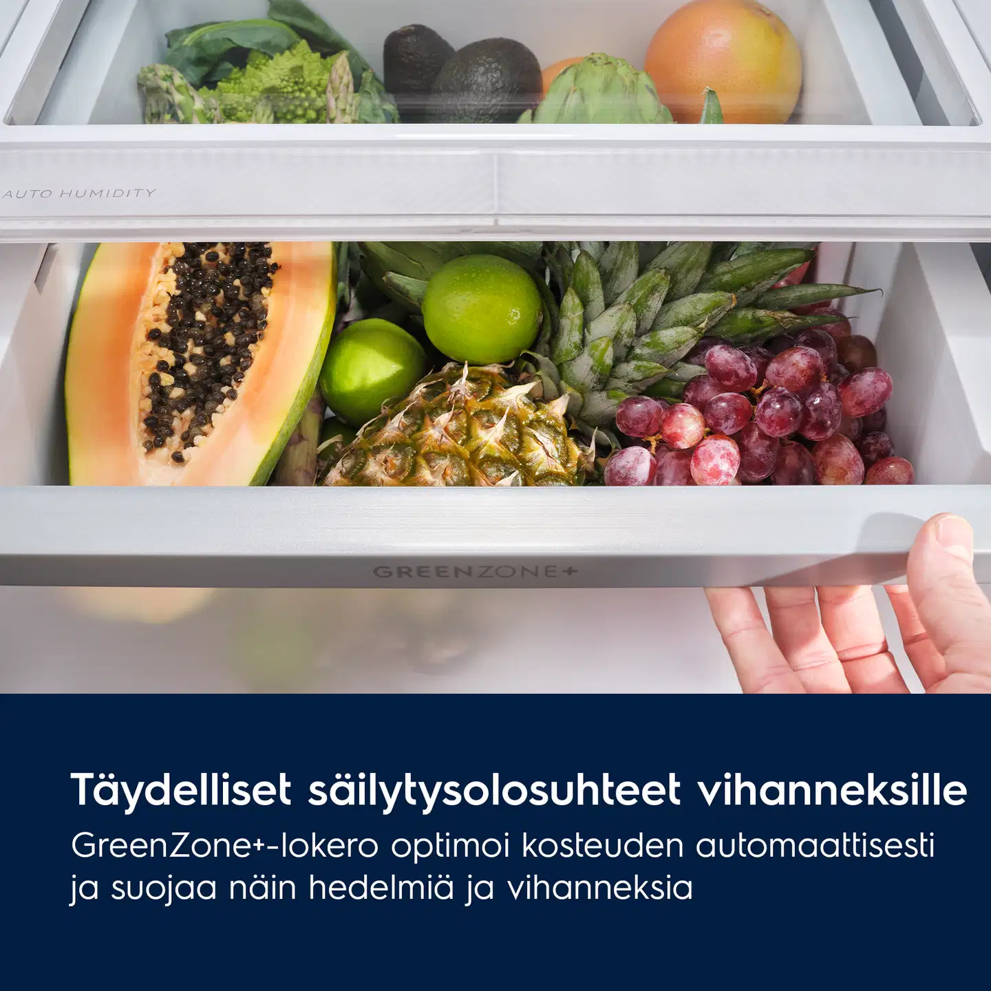 Electrolux jääkaappi-pakastin ENT8MD32W - 4