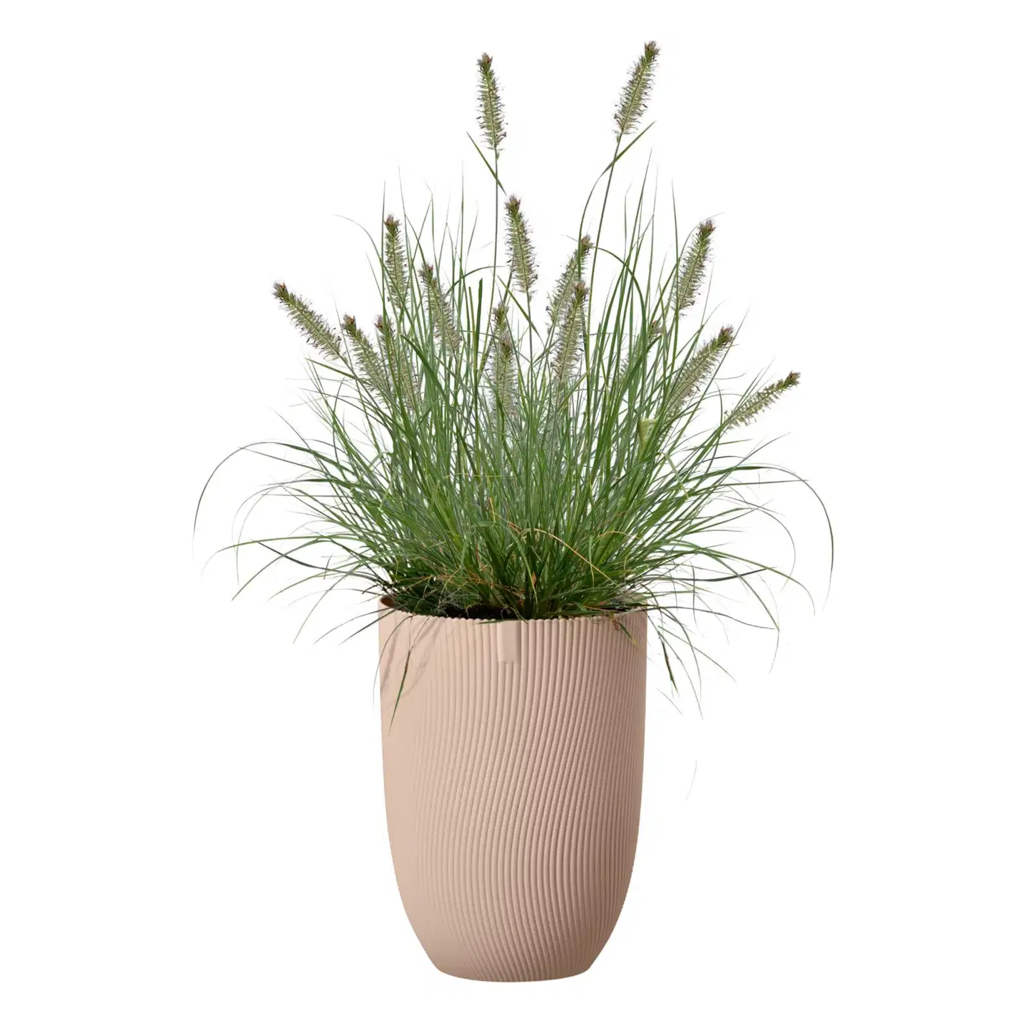 elho ruukku Sereh korkea 30cm beige - 3