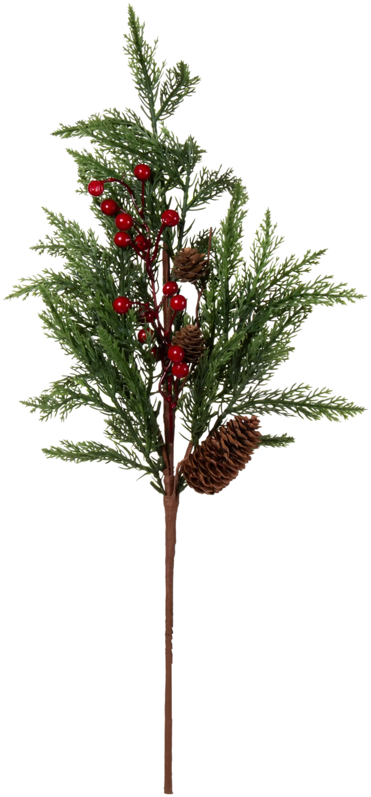 AmandaB marjaoksa havu 65 cm