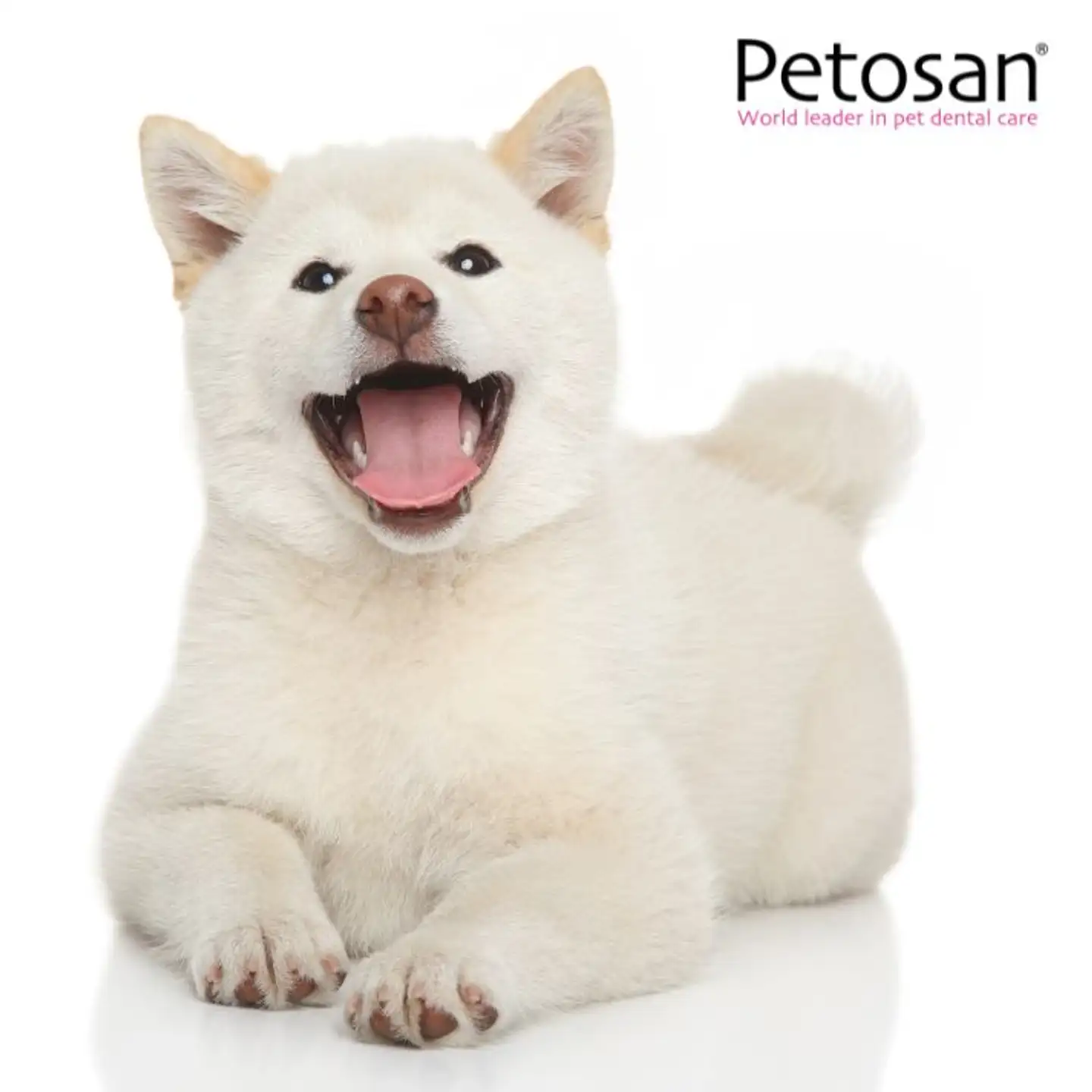 Petosan - Plague Control 75gr - 5