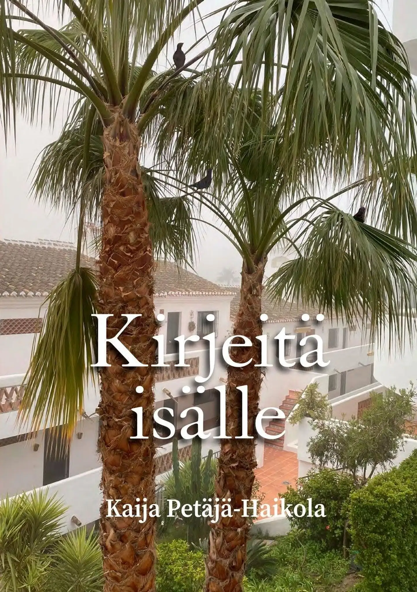 Petäjä-Haikola, Kirjeitä isälle