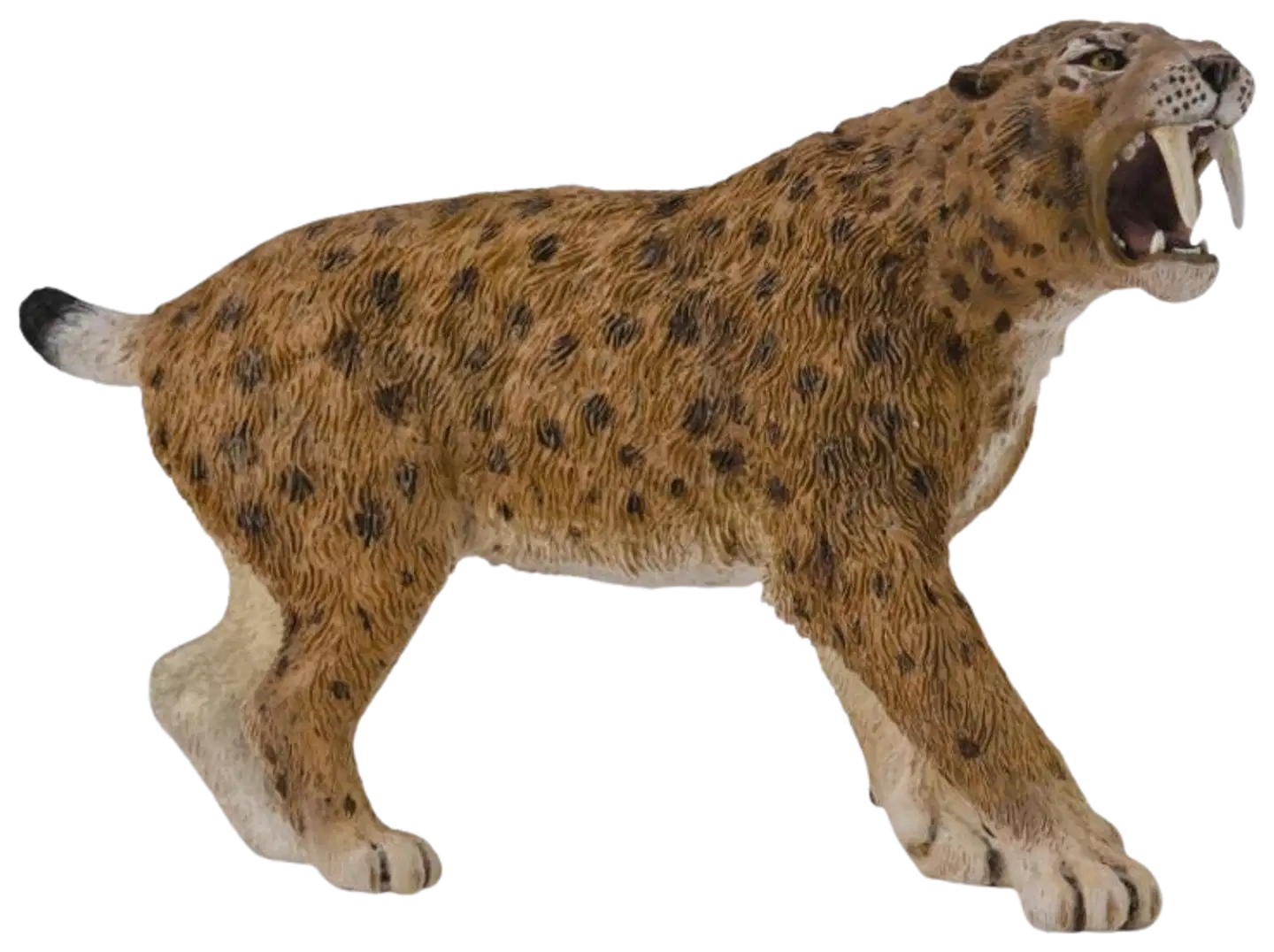 CollectA lelu Smilodon XL